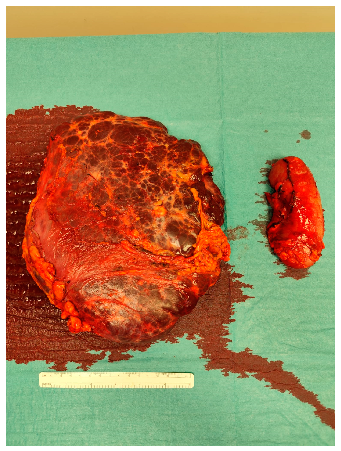 Preprints 169409 g005