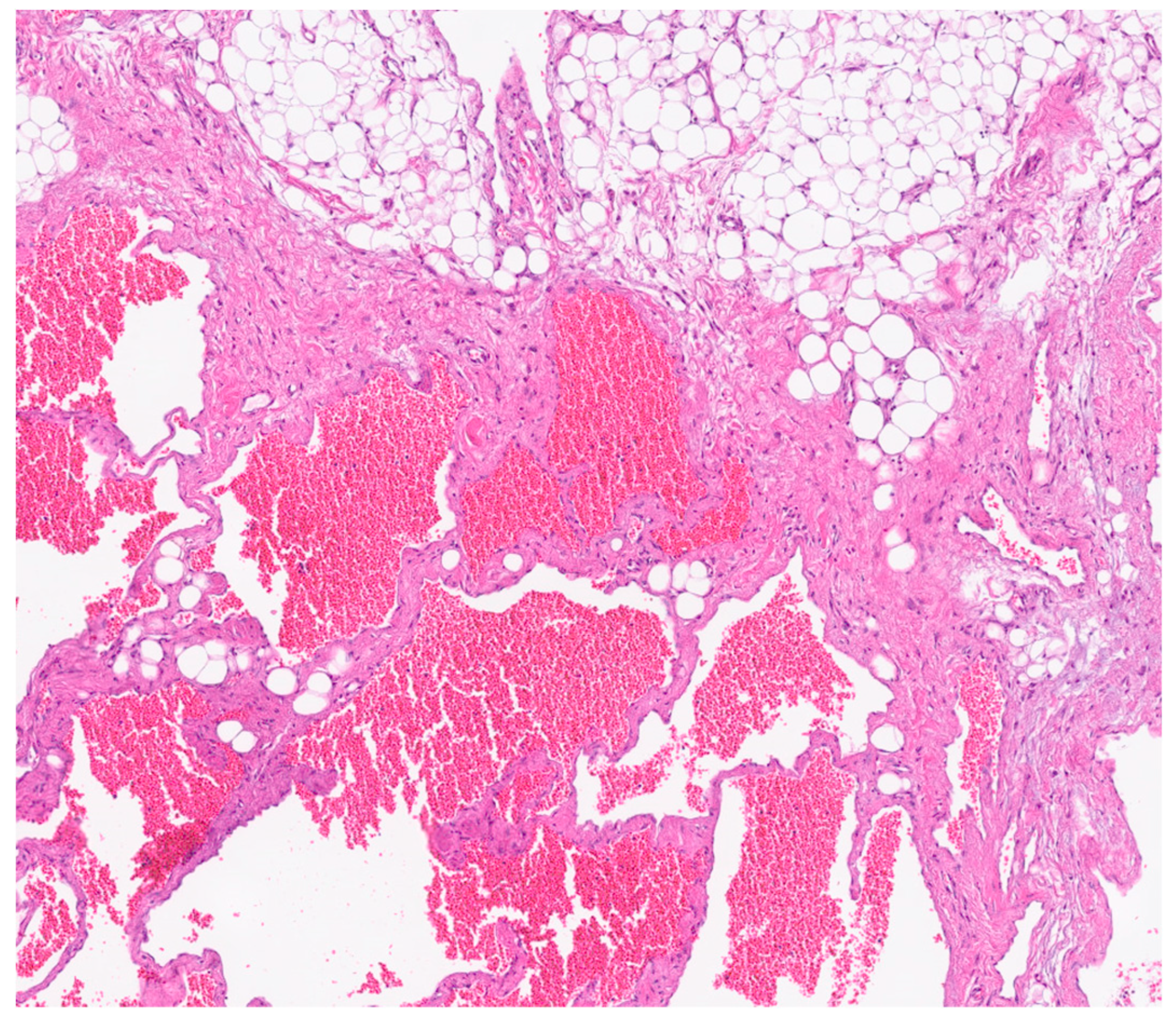 Preprints 169409 g006