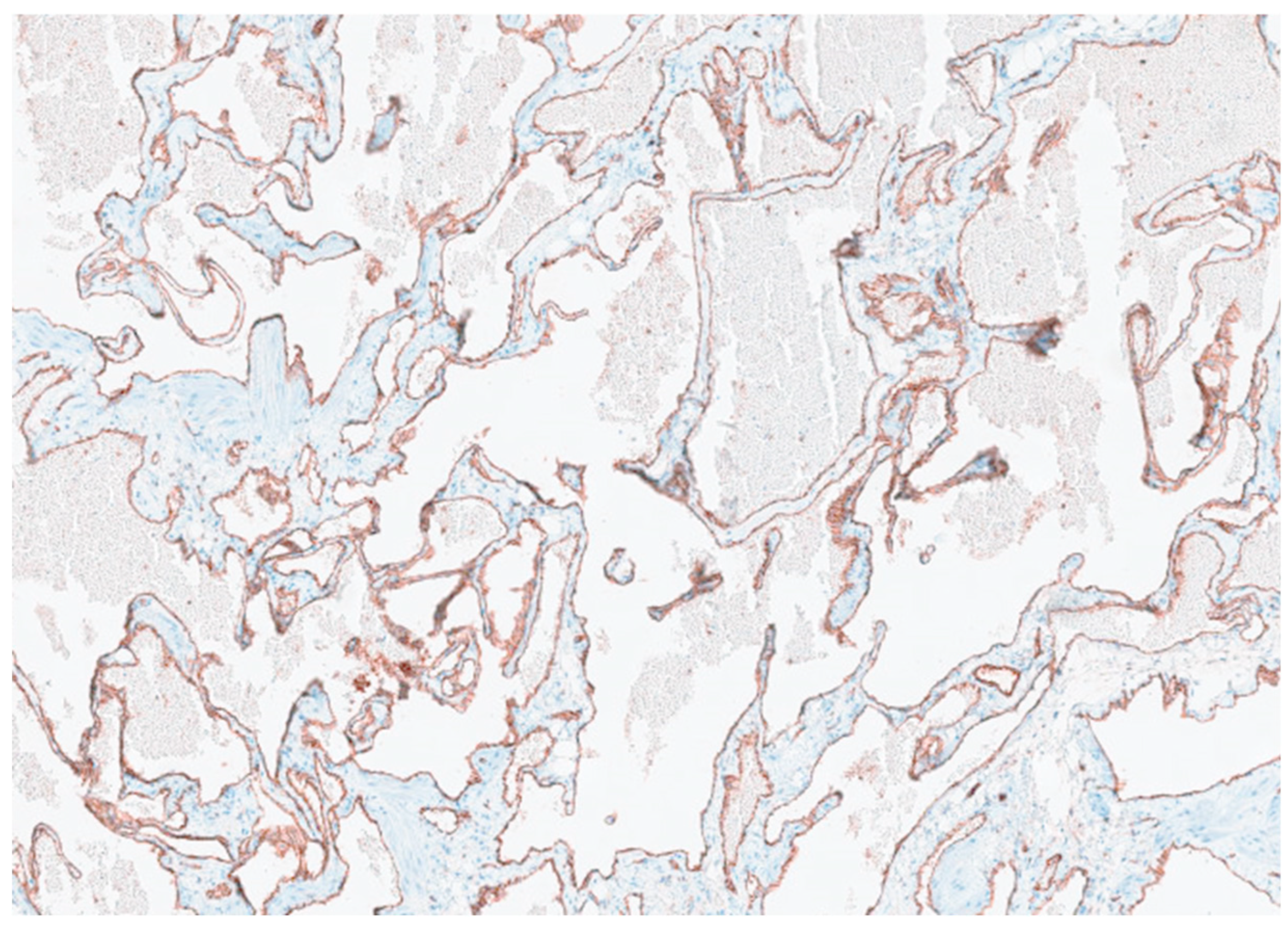 Preprints 169409 g007