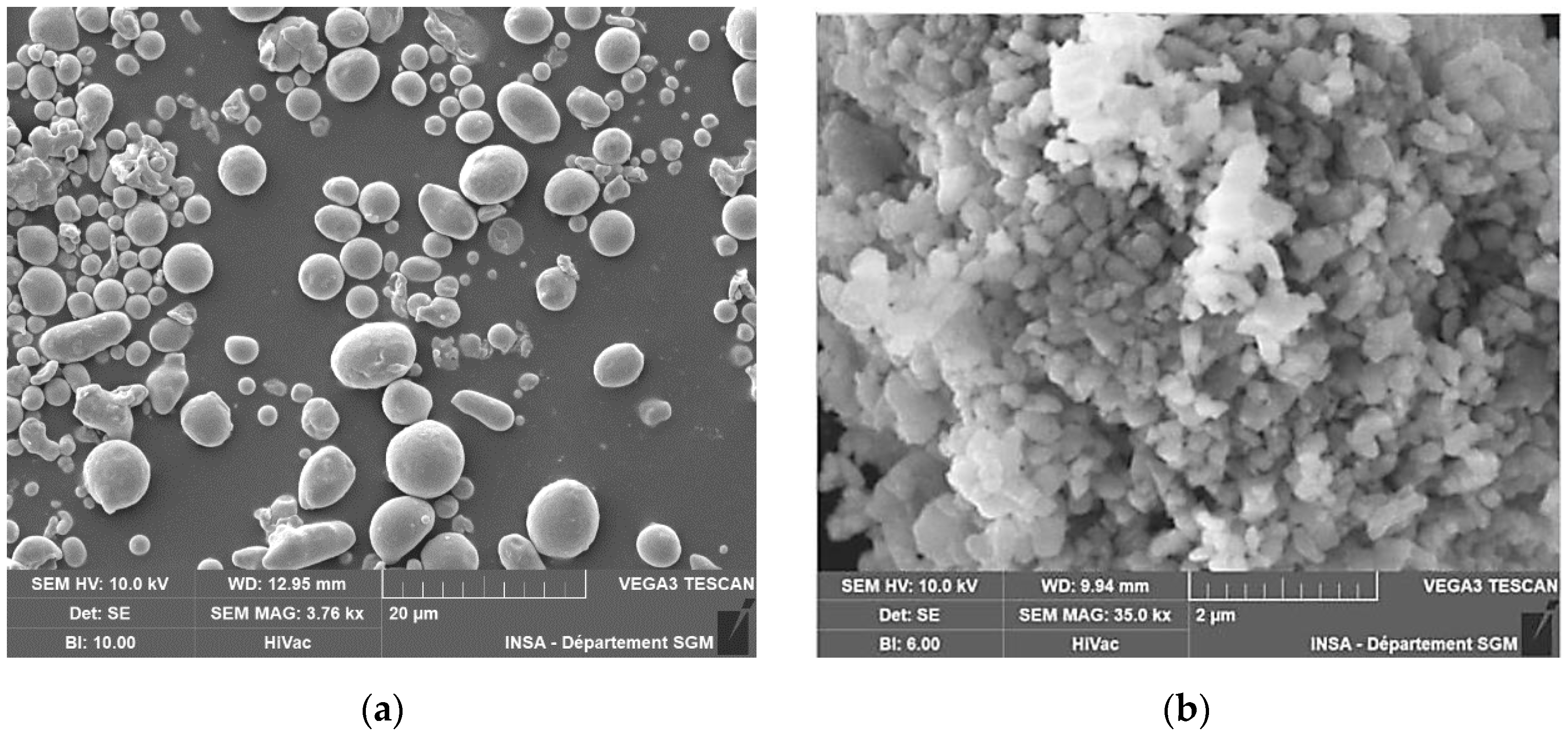 Preprints 153753 g002