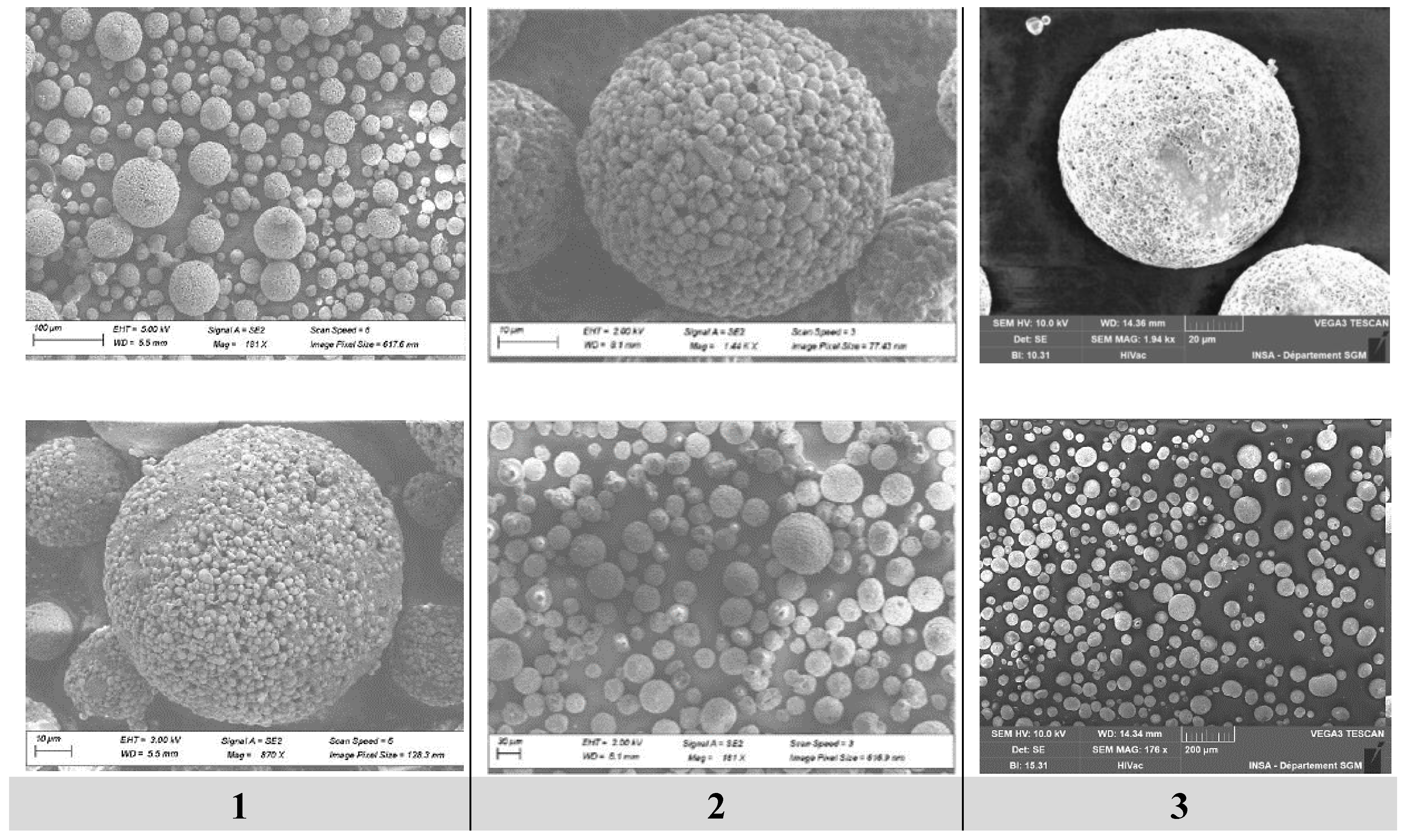 Preprints 153753 g005