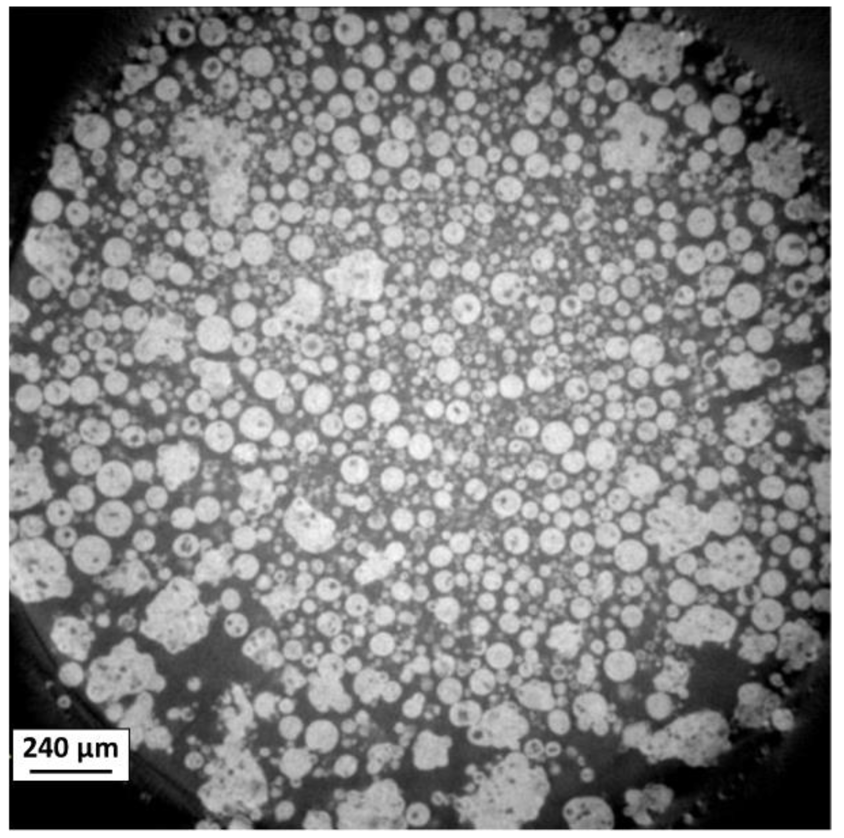 Preprints 153753 g006