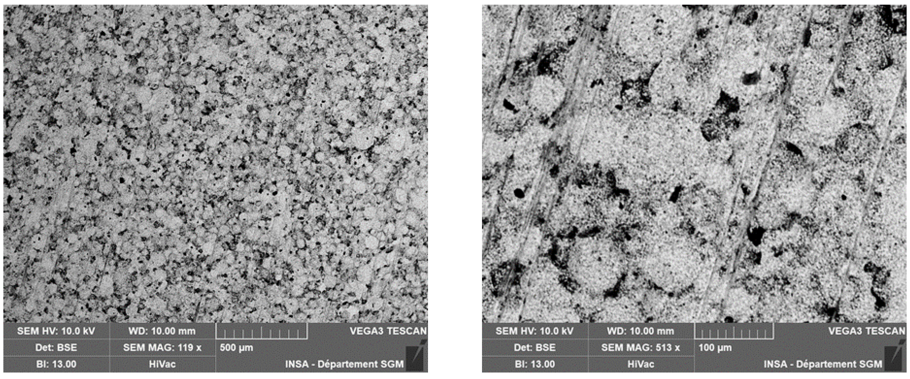 Preprints 153753 g012