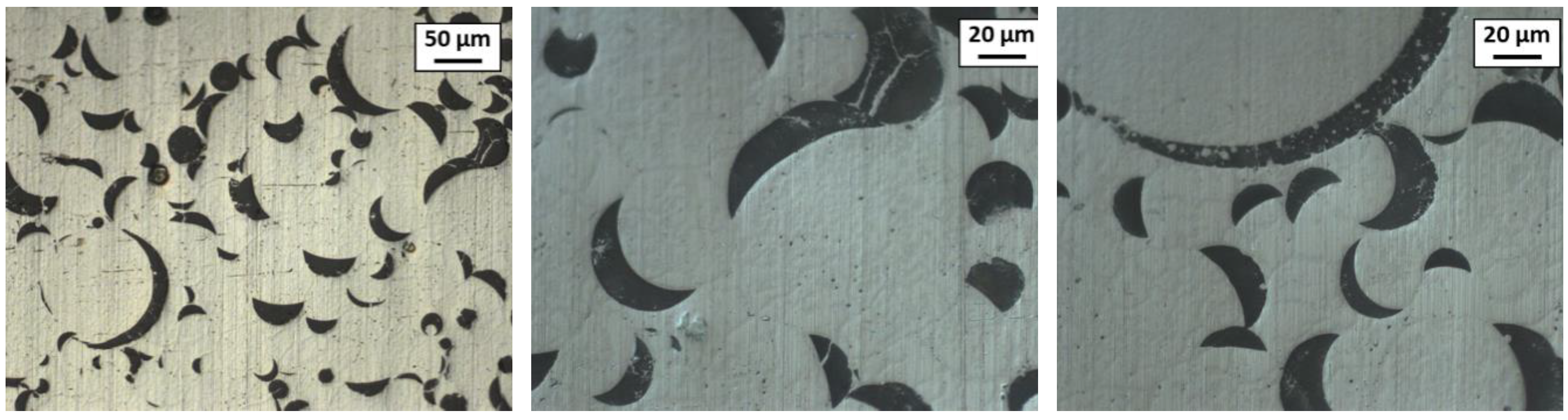 Preprints 153753 g013