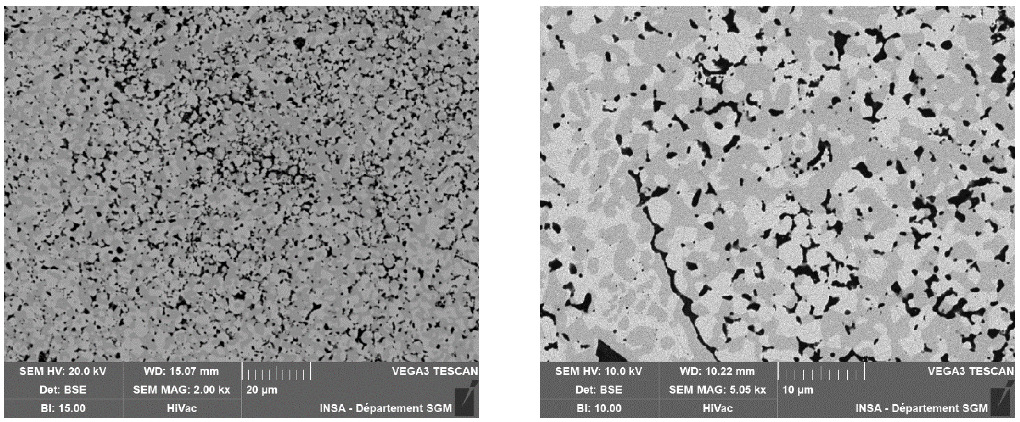 Preprints 153753 g014