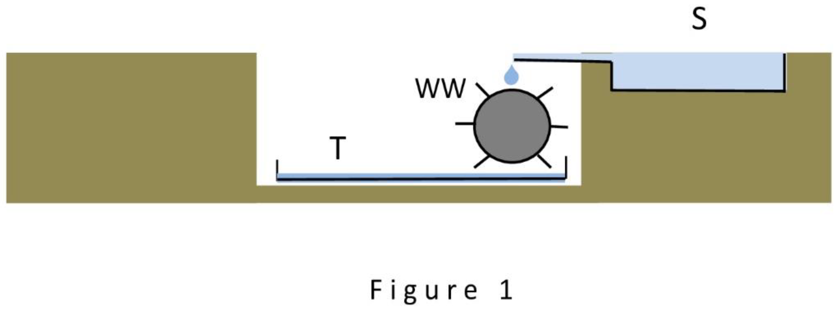 Preprints 142484 g001