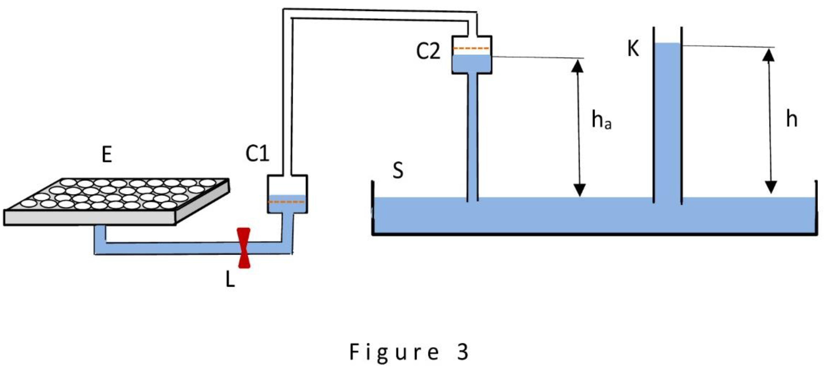 Preprints 142484 g003