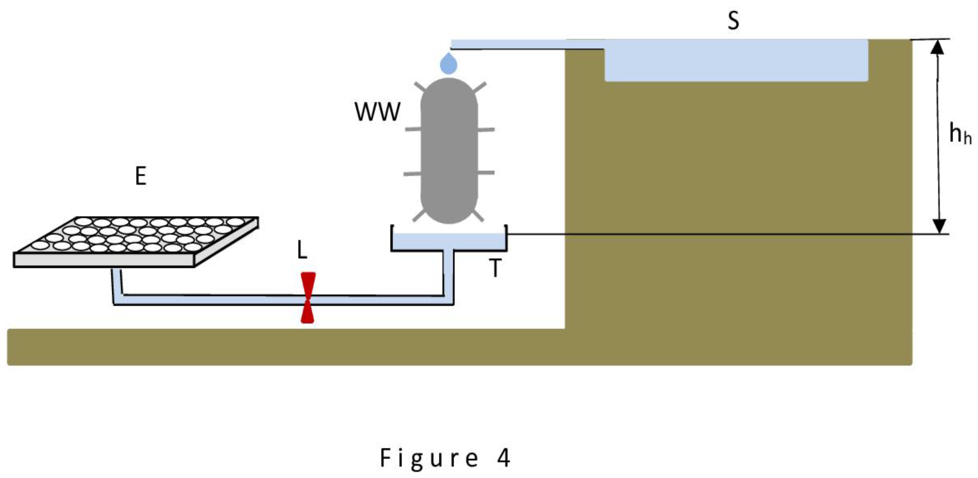 Preprints 142484 g004