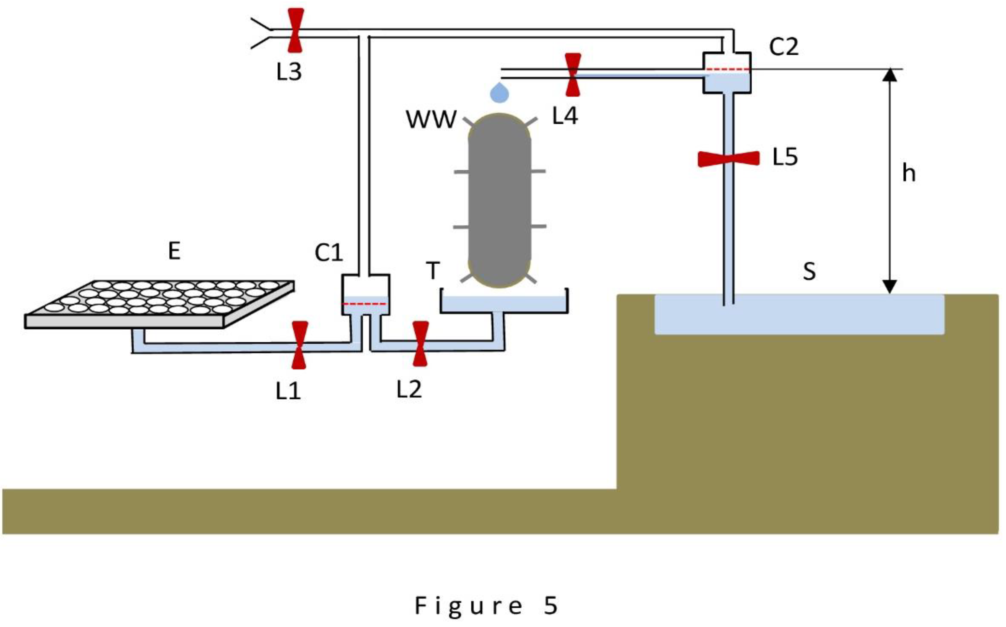 Preprints 142484 g005