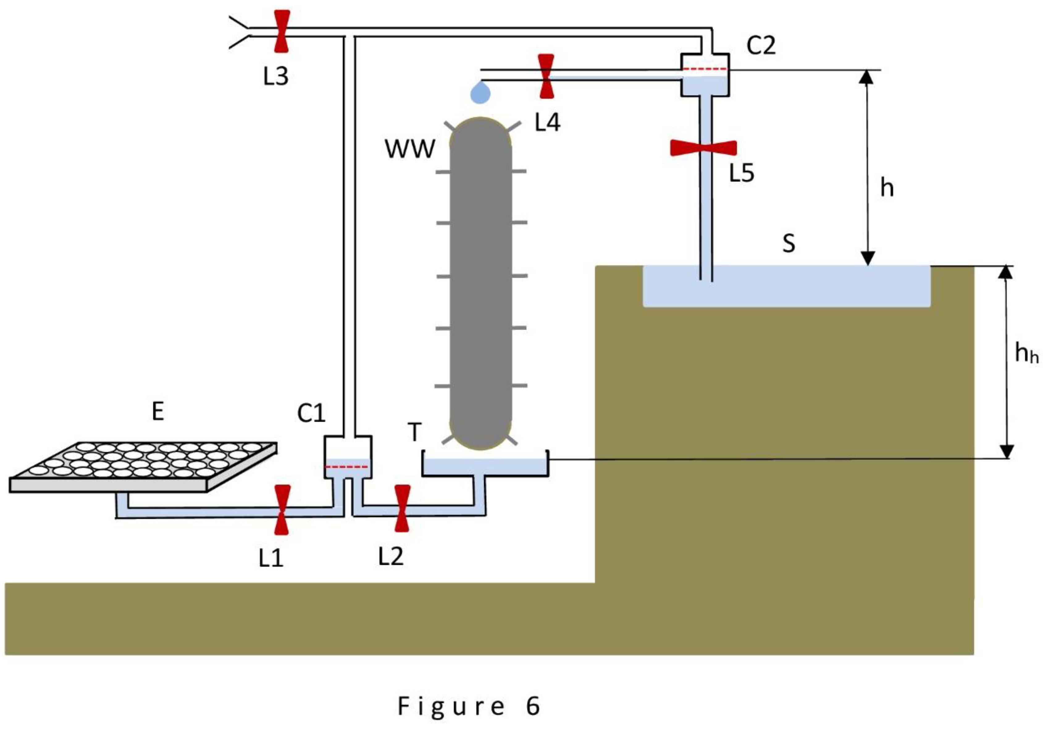 Preprints 142484 g006