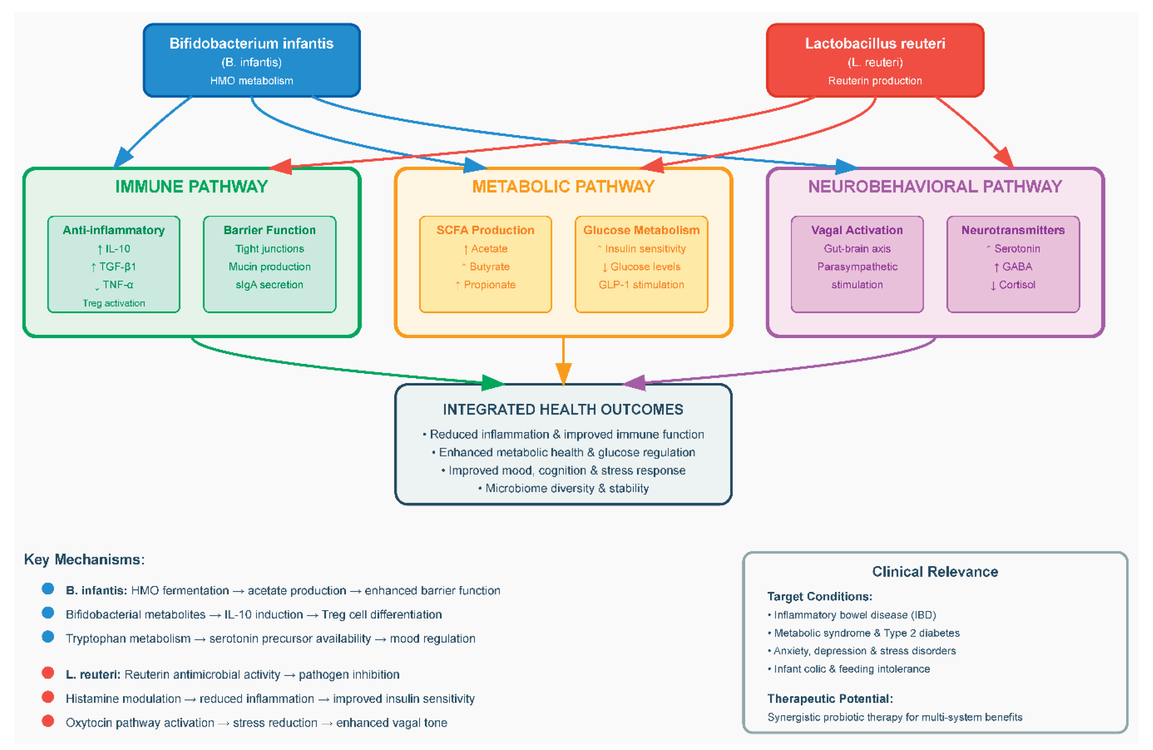 Preprints 172219 g002