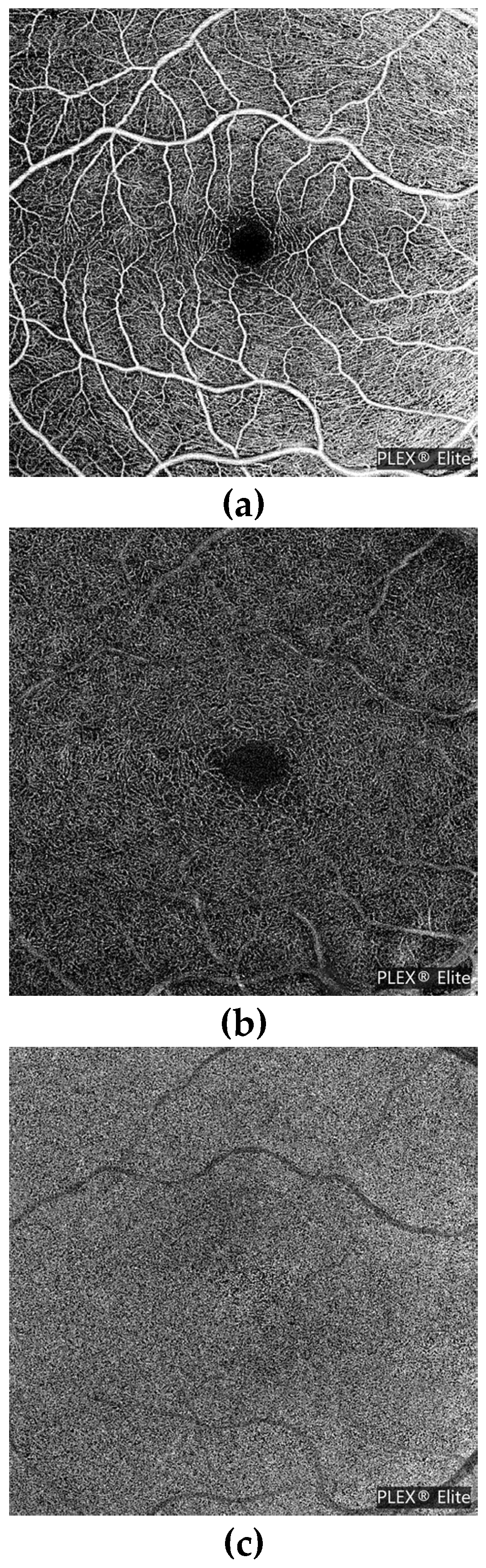Preprints 75517 g001