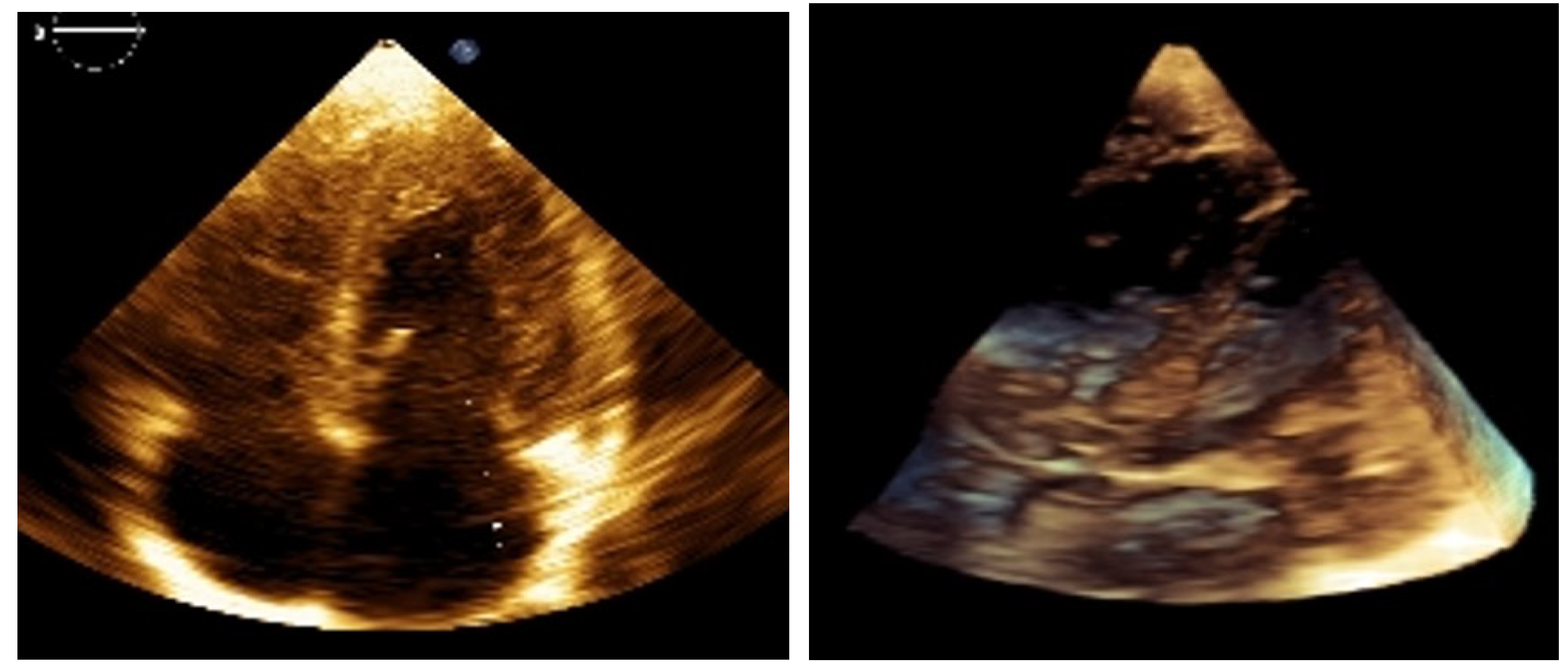 Preprints 171385 g002