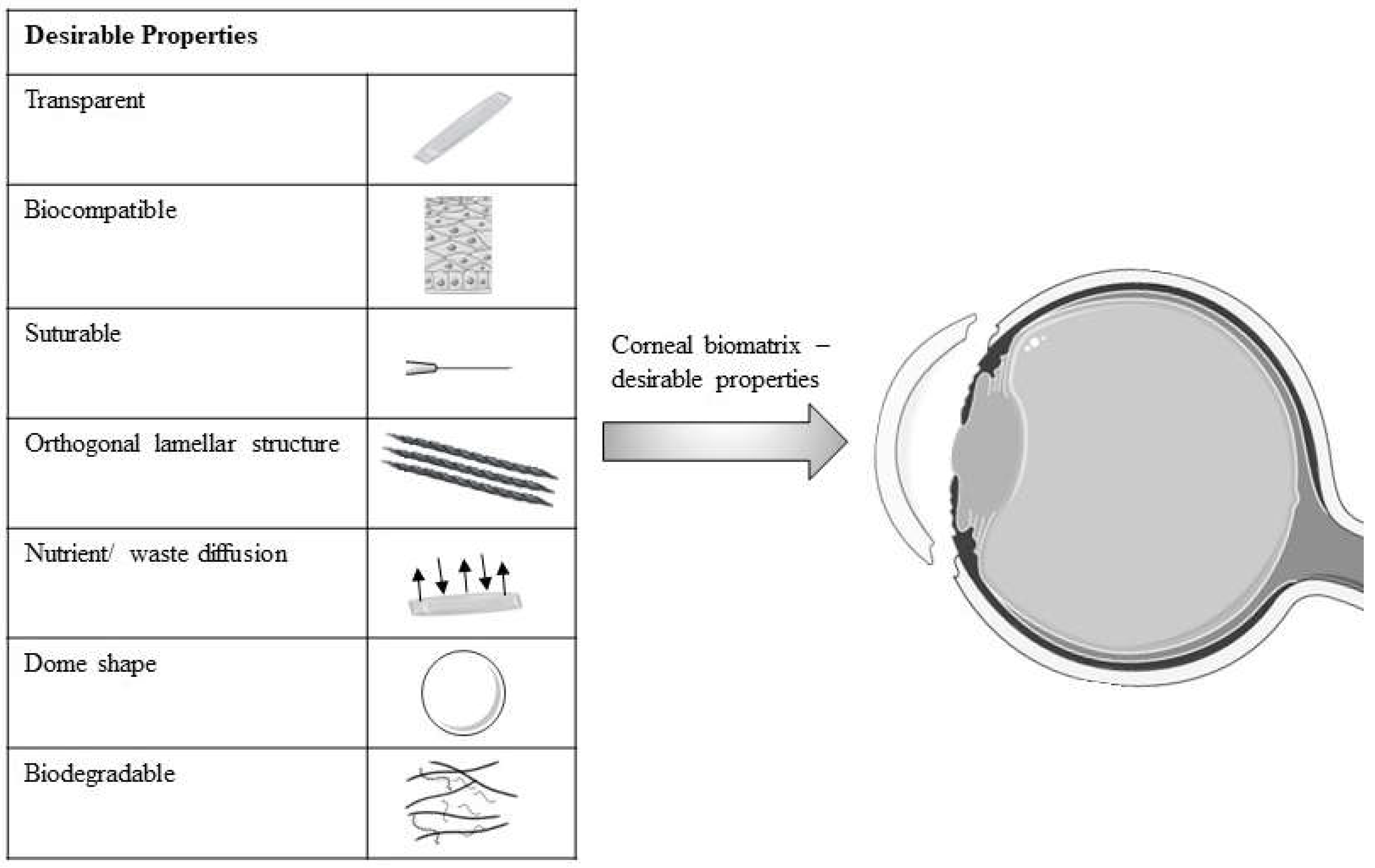 Preprints 68833 g002