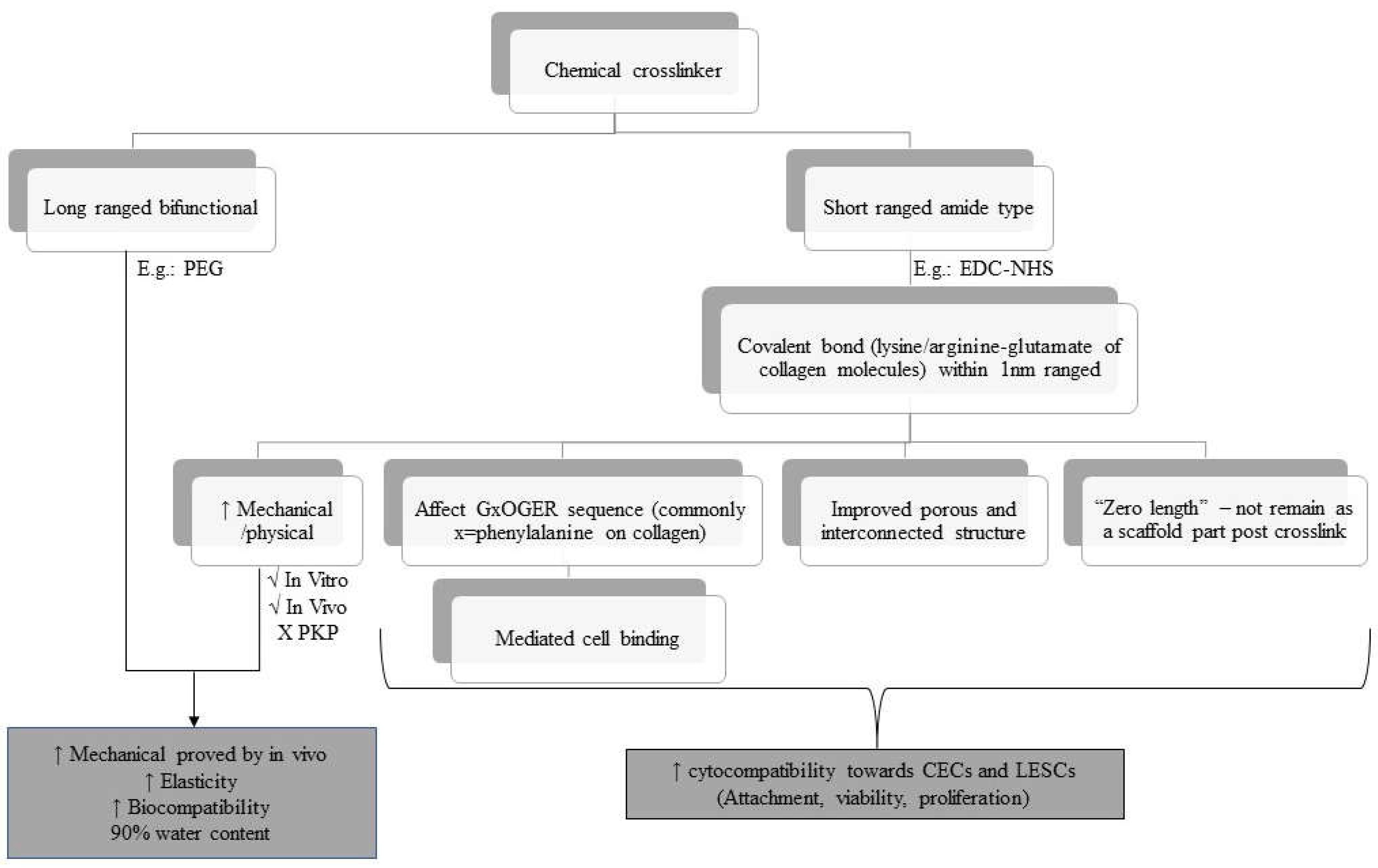 Preprints 68833 g004