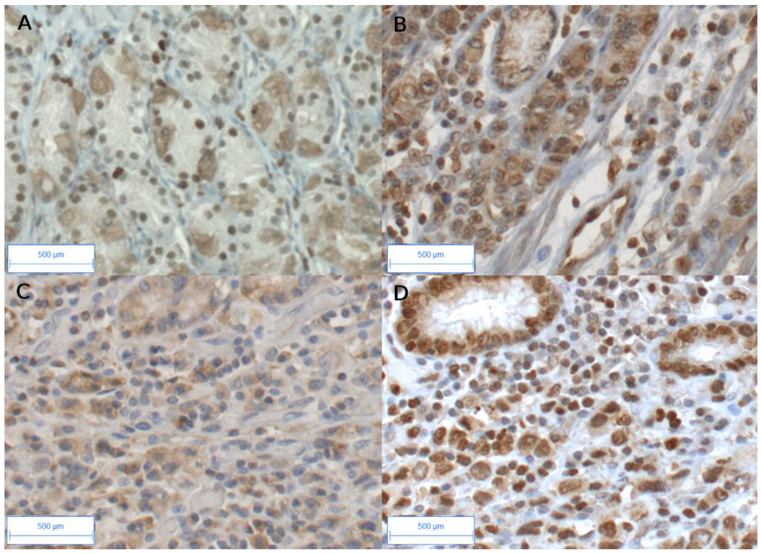 Preprints 110001 g001