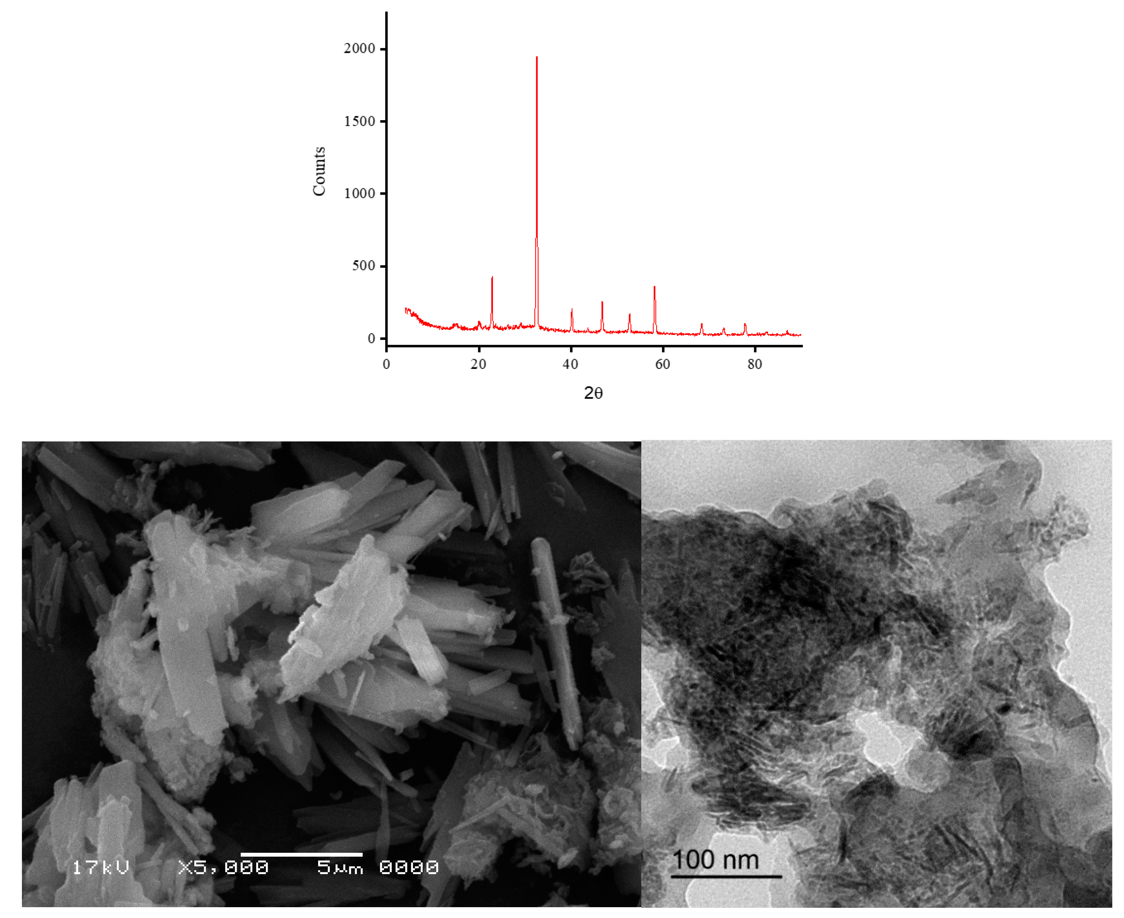 Preprints 76057 g006