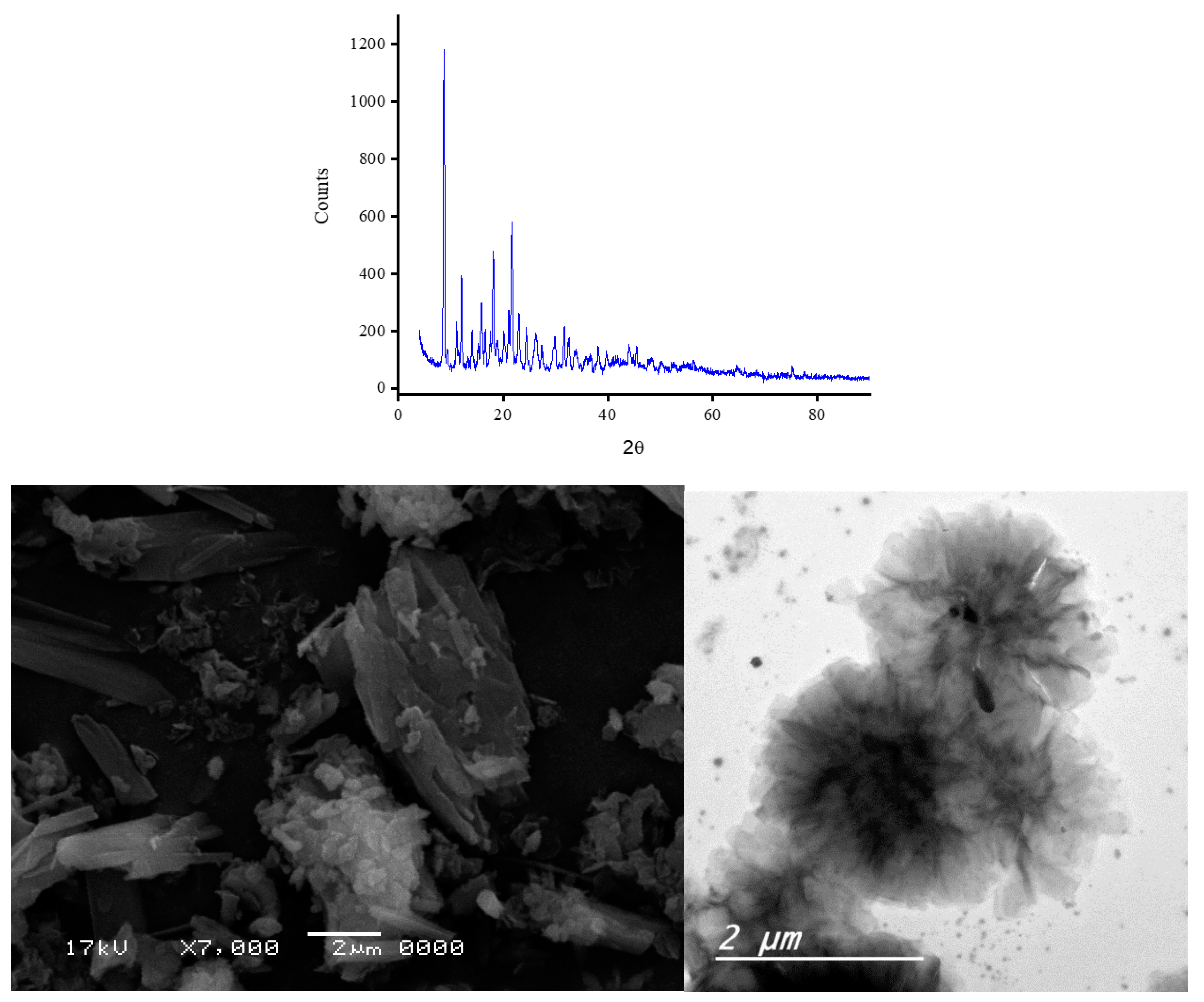 Preprints 76057 g007