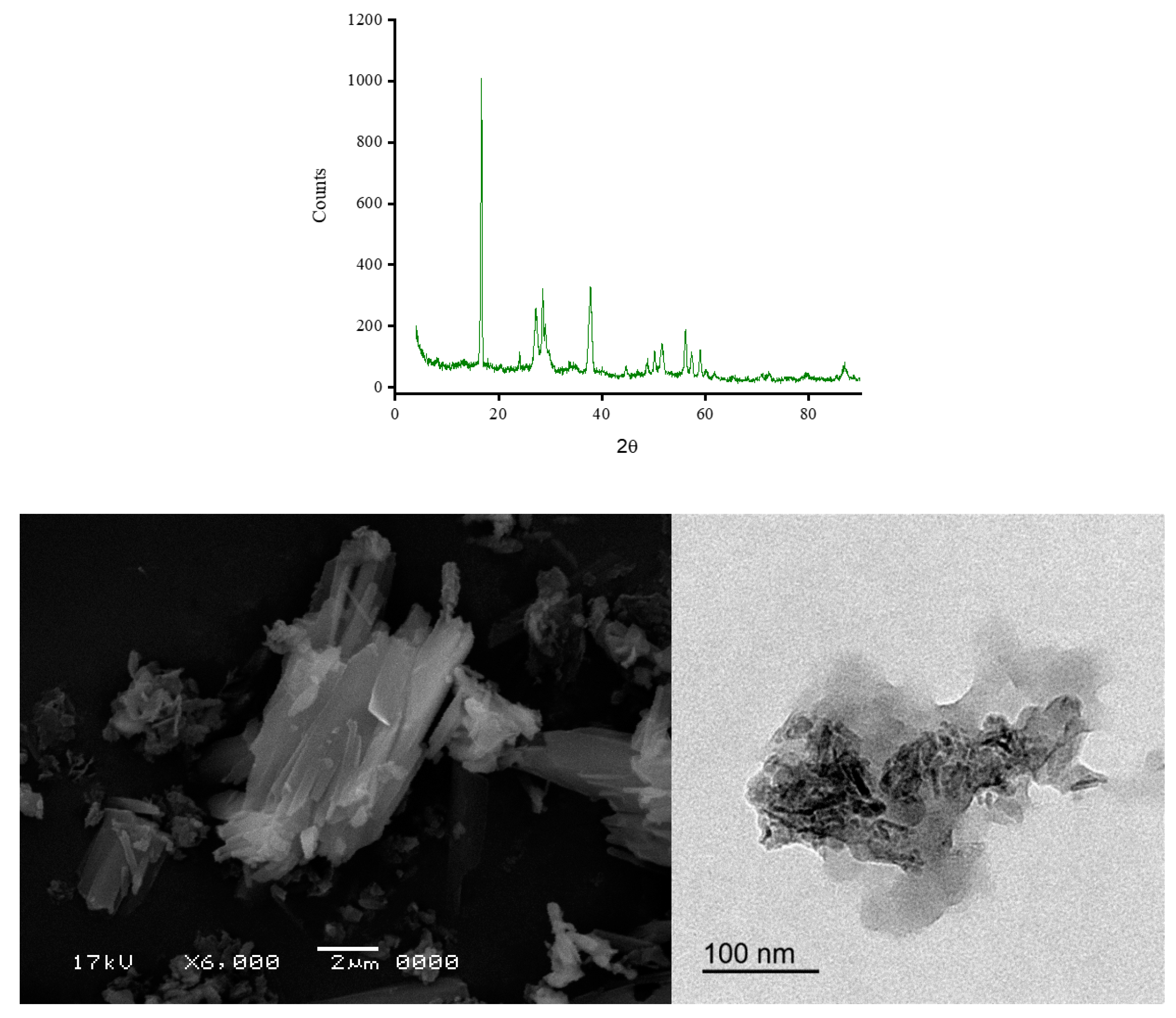 Preprints 76057 g008