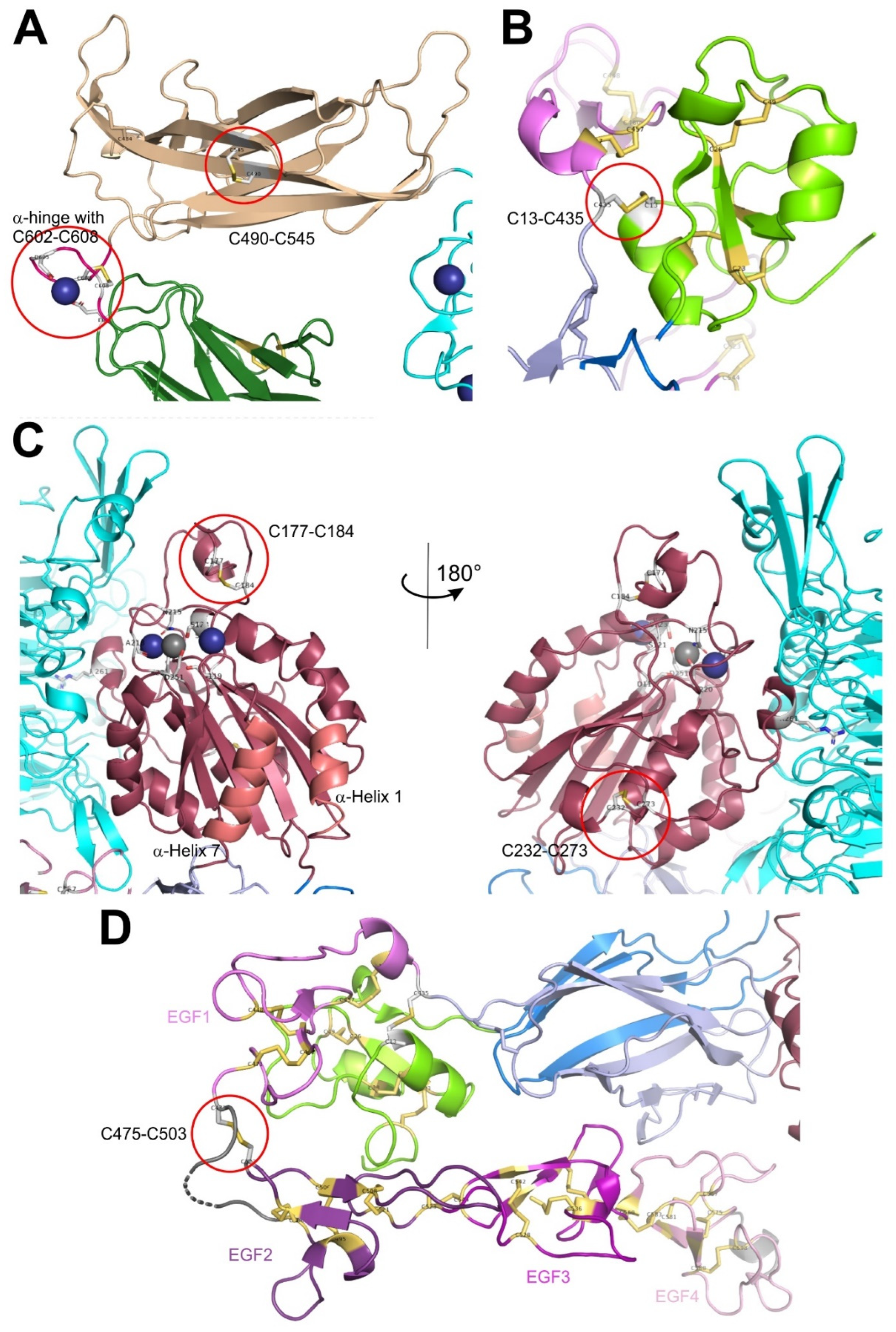 Preprints 169028 g002