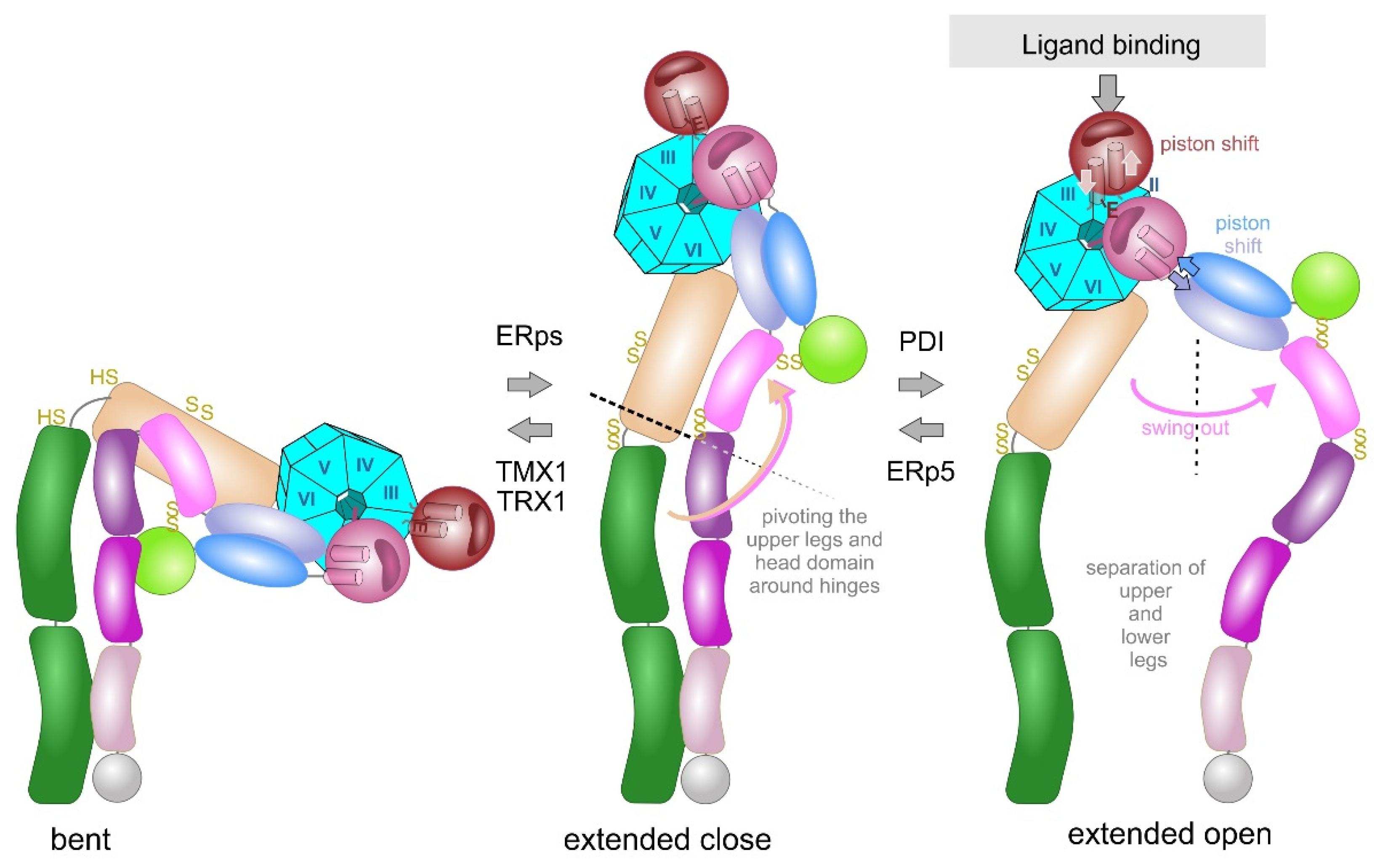 Preprints 169028 g005