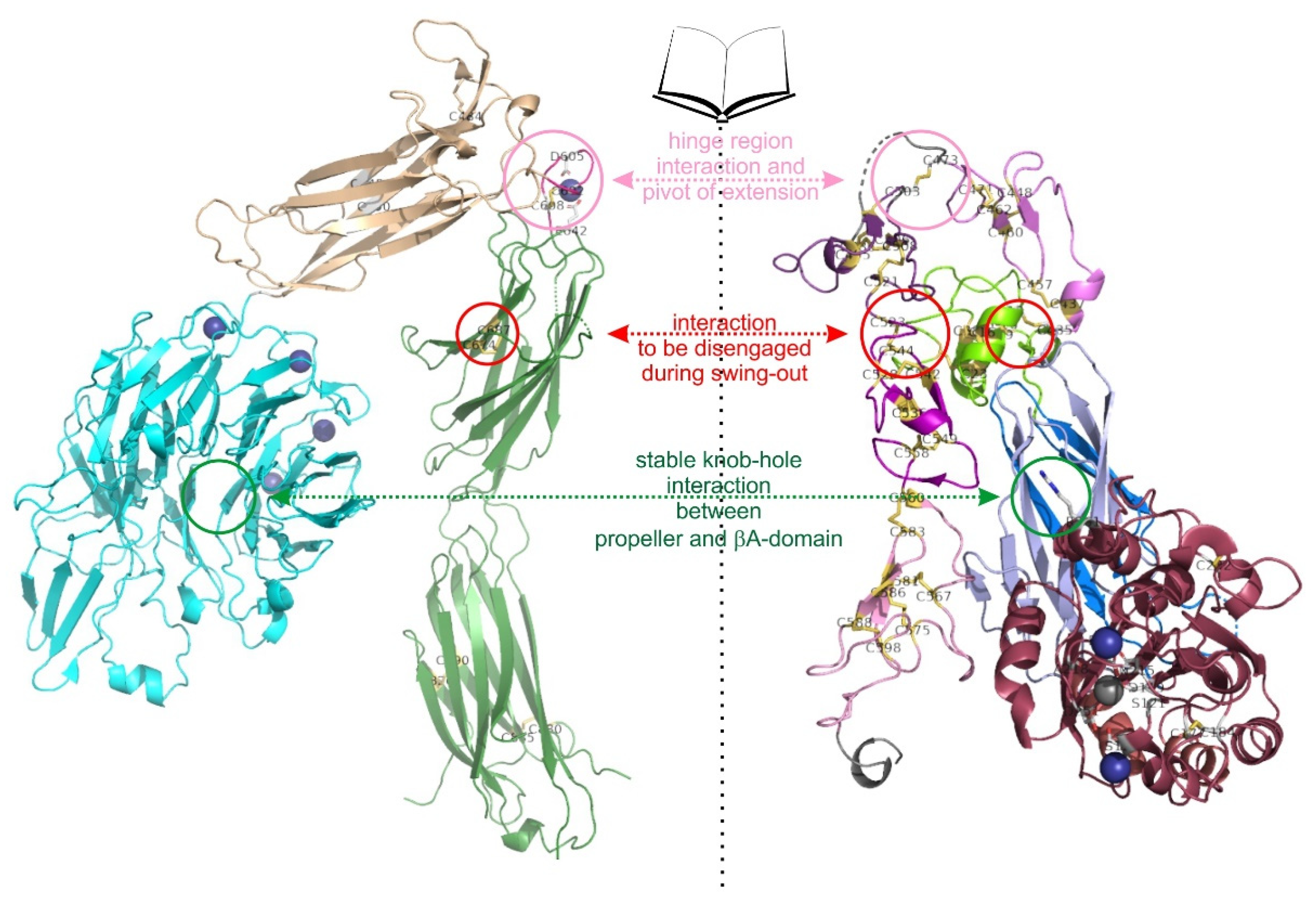 Preprints 169028 g006
