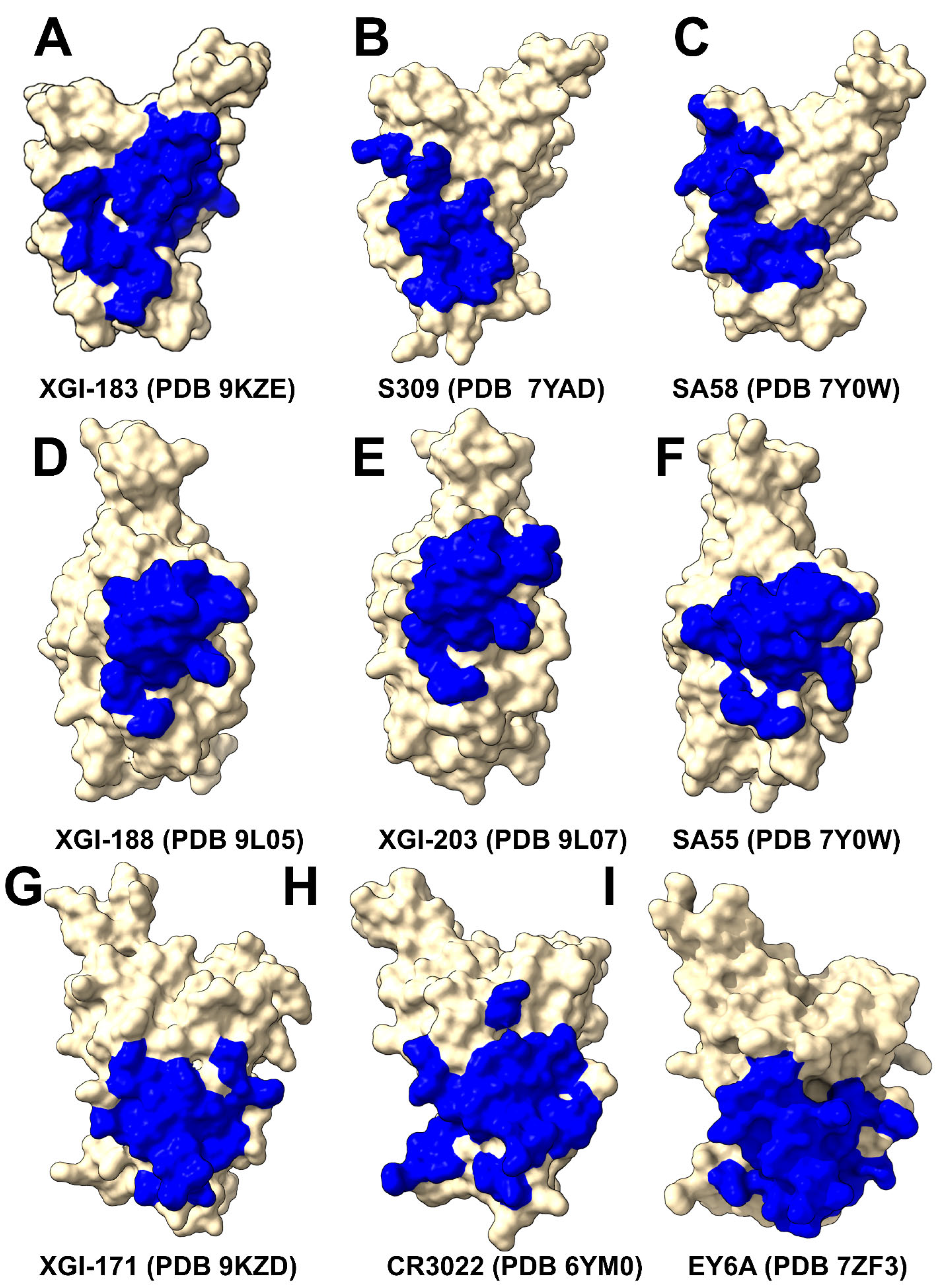 Preprints 206479 g002 Preprints 206479 g002
