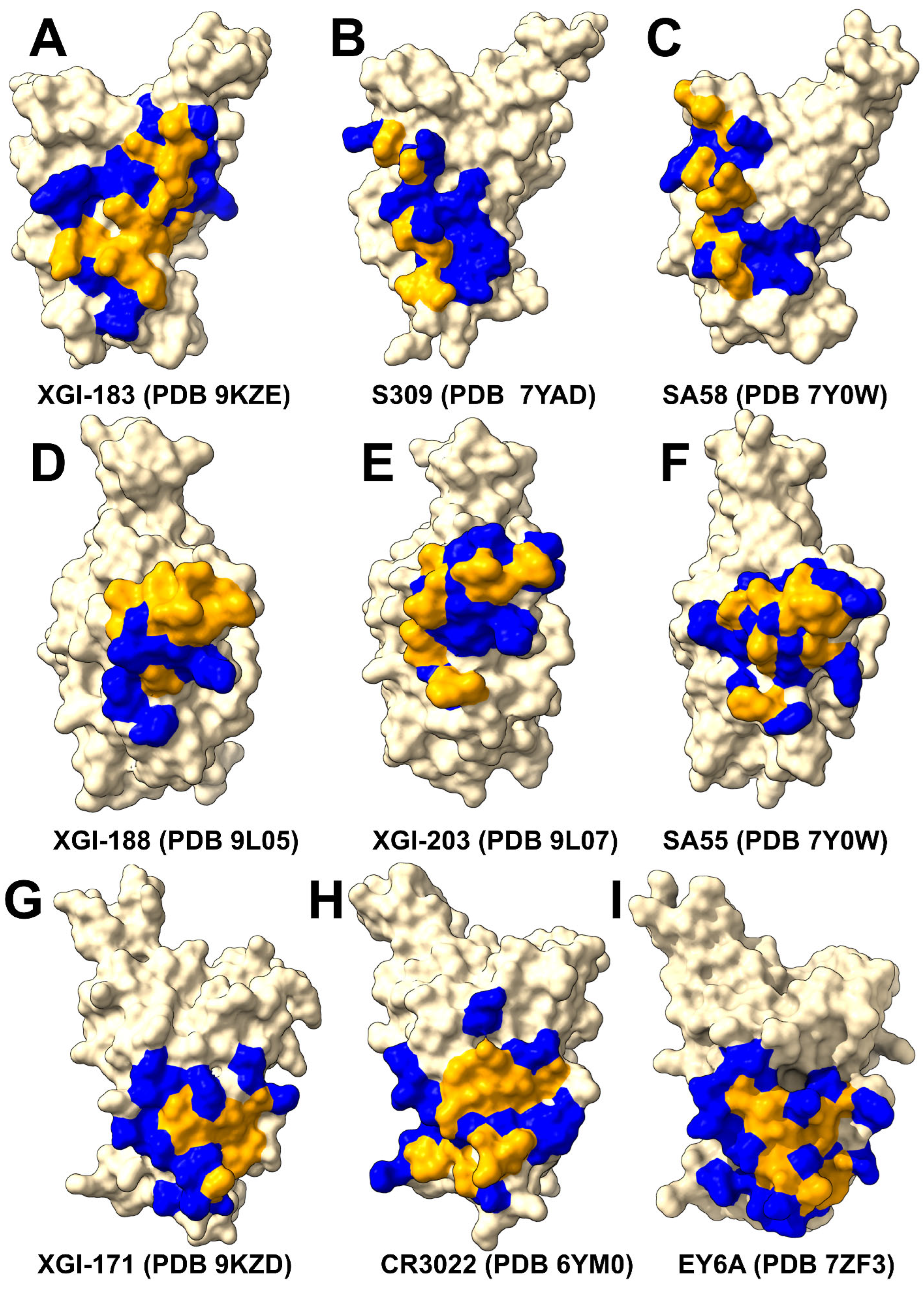 Preprints 206479 g005 Preprints 206479 g005