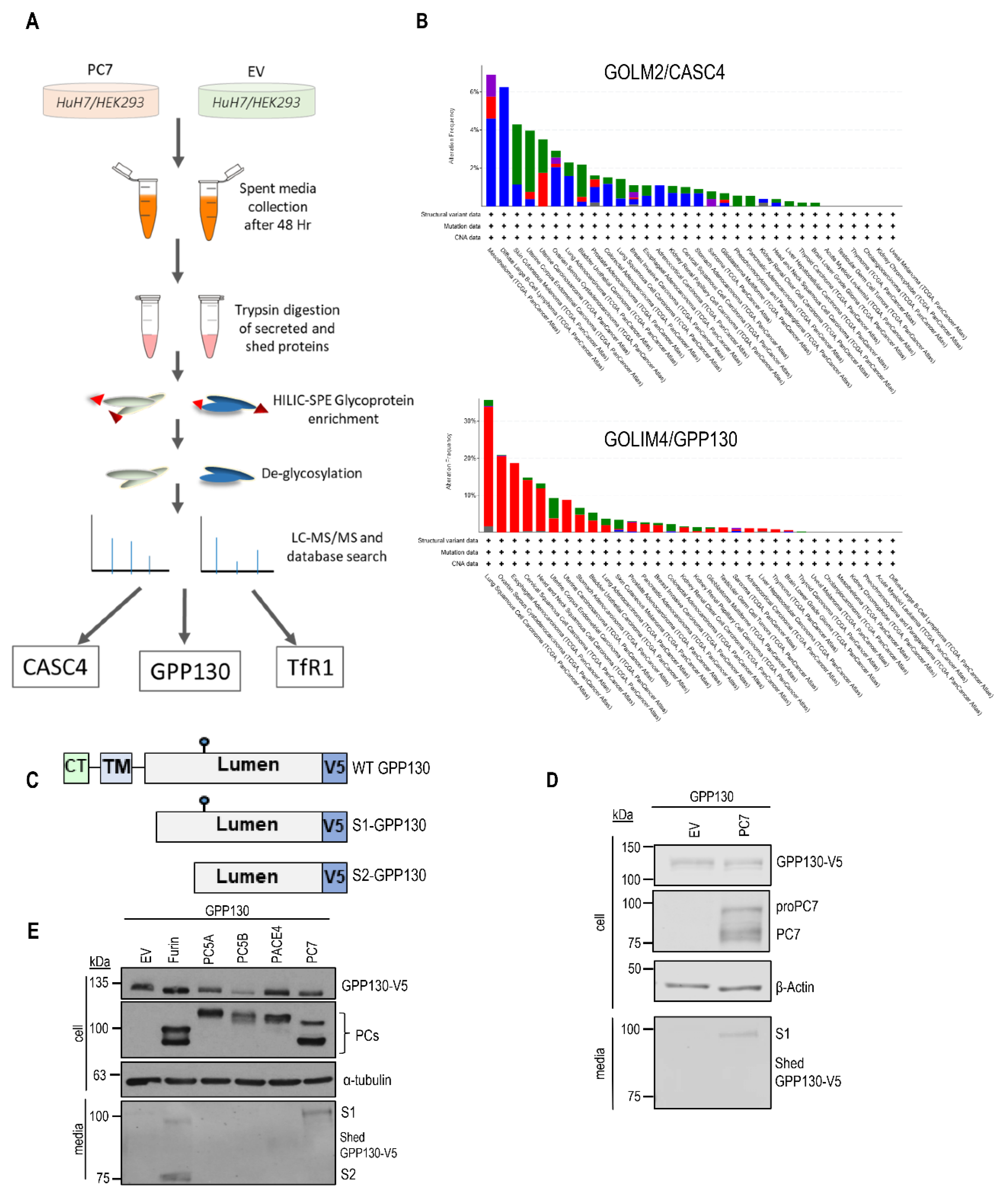 Preprints 160688 g001