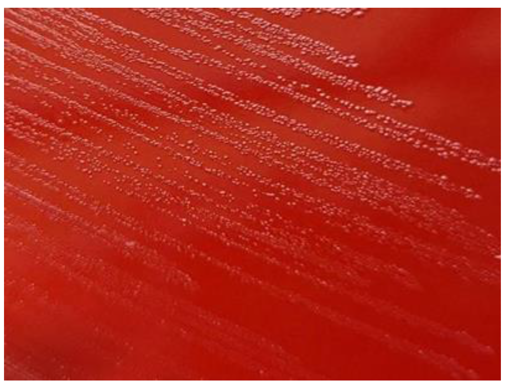 Preprints 164840 g001