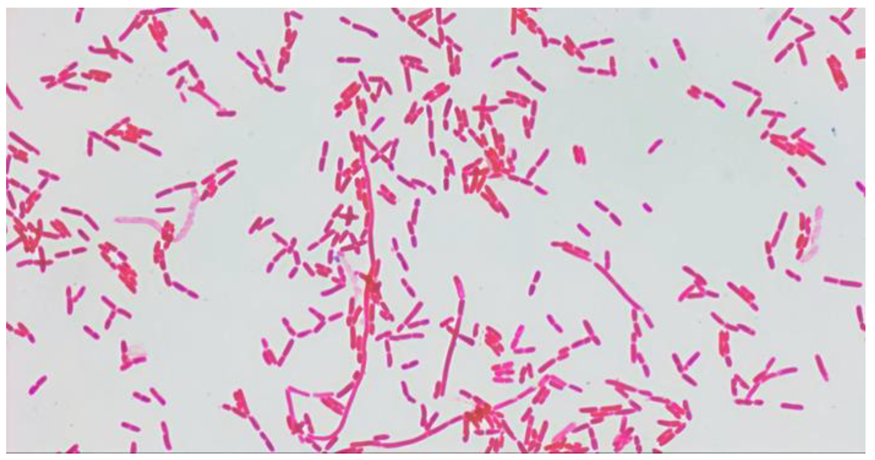 Preprints 164840 g002