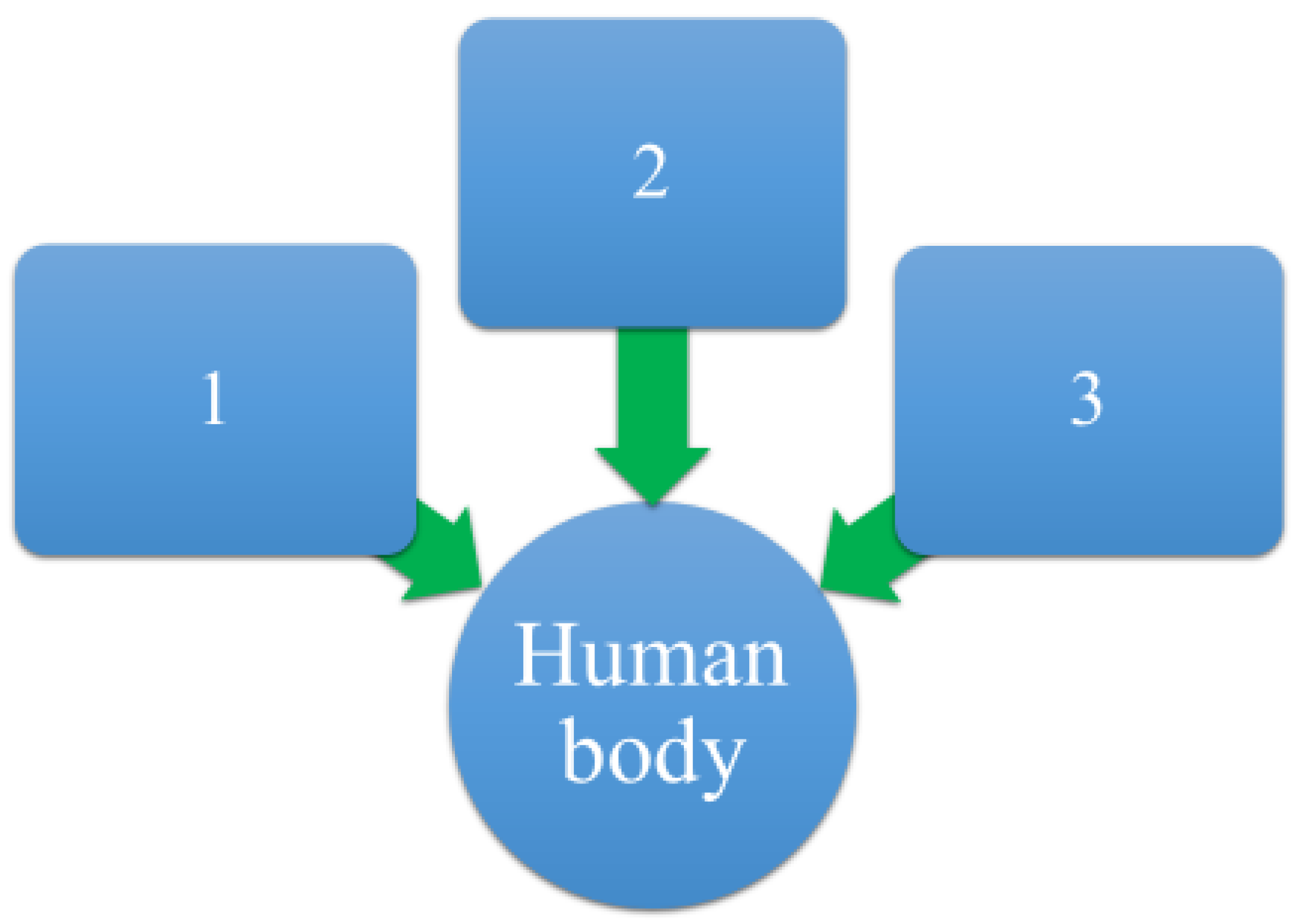 Preprints 164840 g003