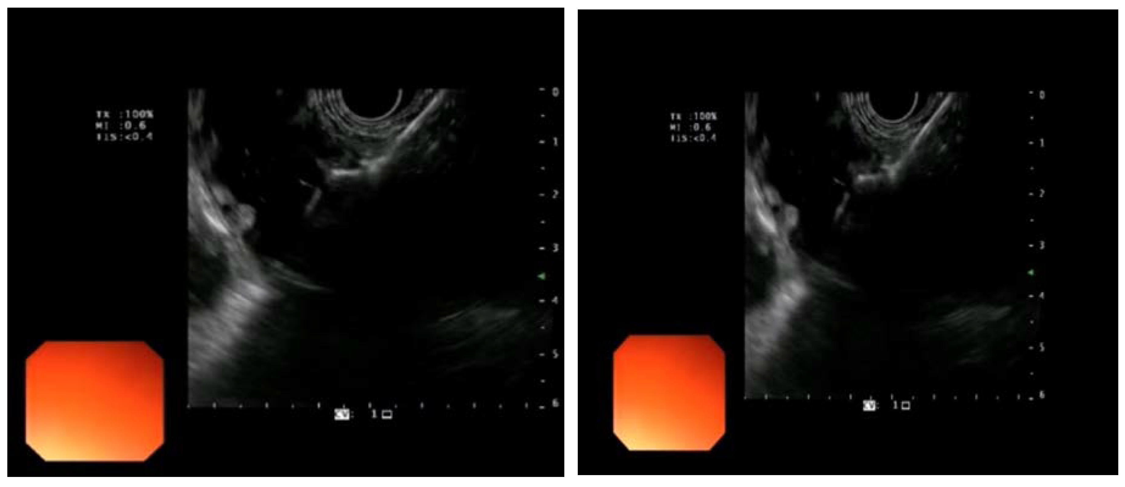 Preprints 93746 g001a