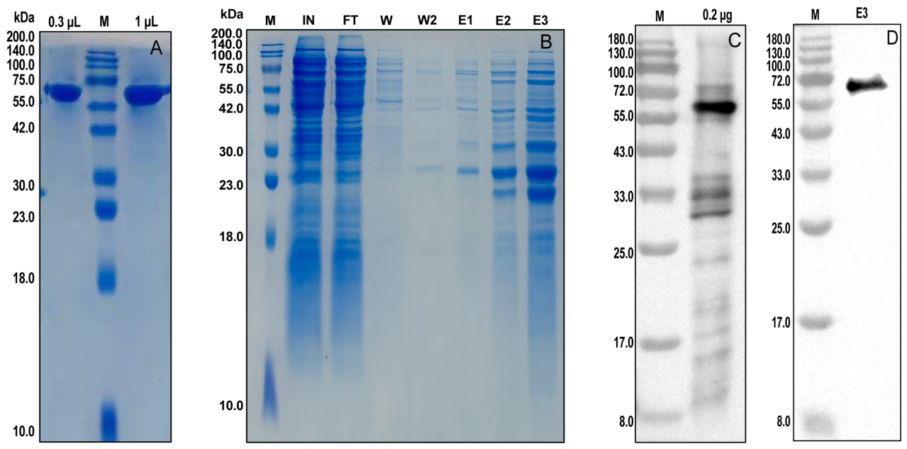 Preprints 230703 g005 Preprints 230703 g005
