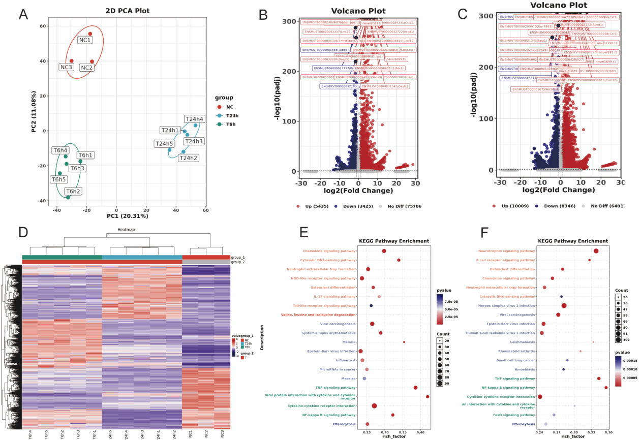 Preprints 230703 g008 Preprints 230703 g008