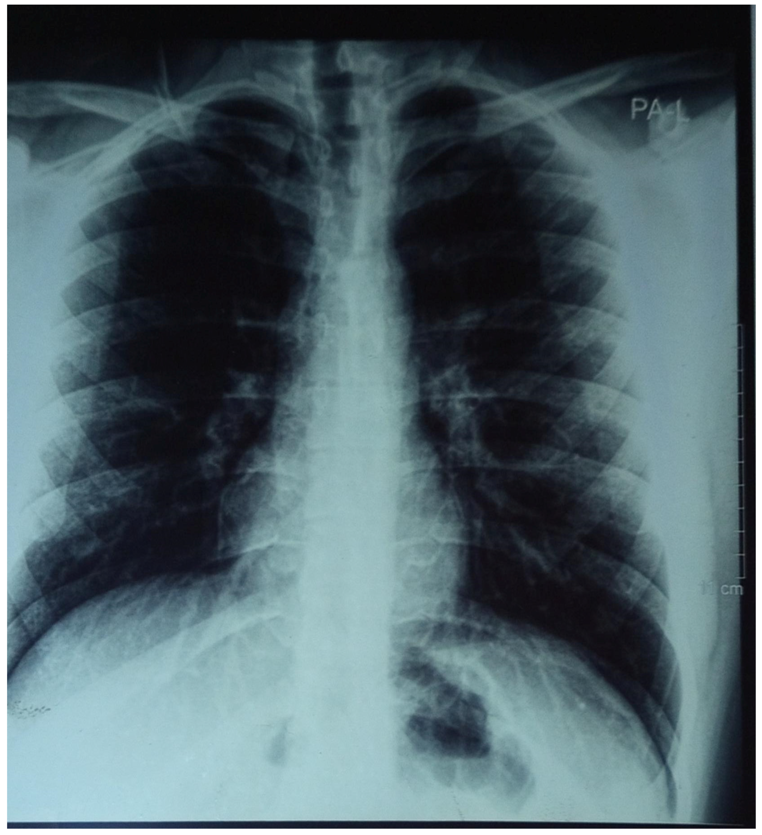 Preprints 188572 g001