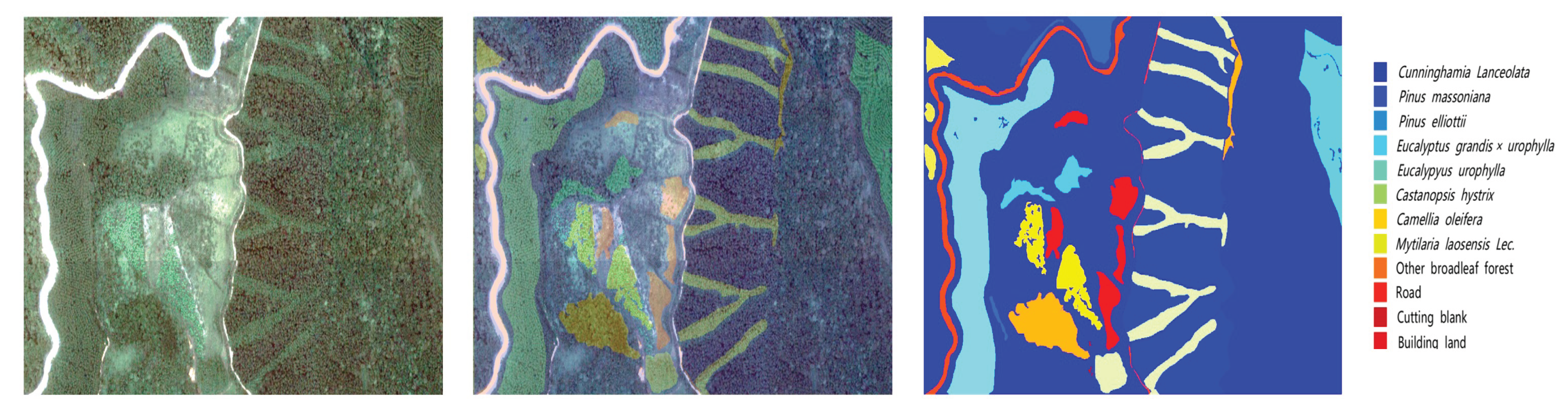 Preprints 178090 g006