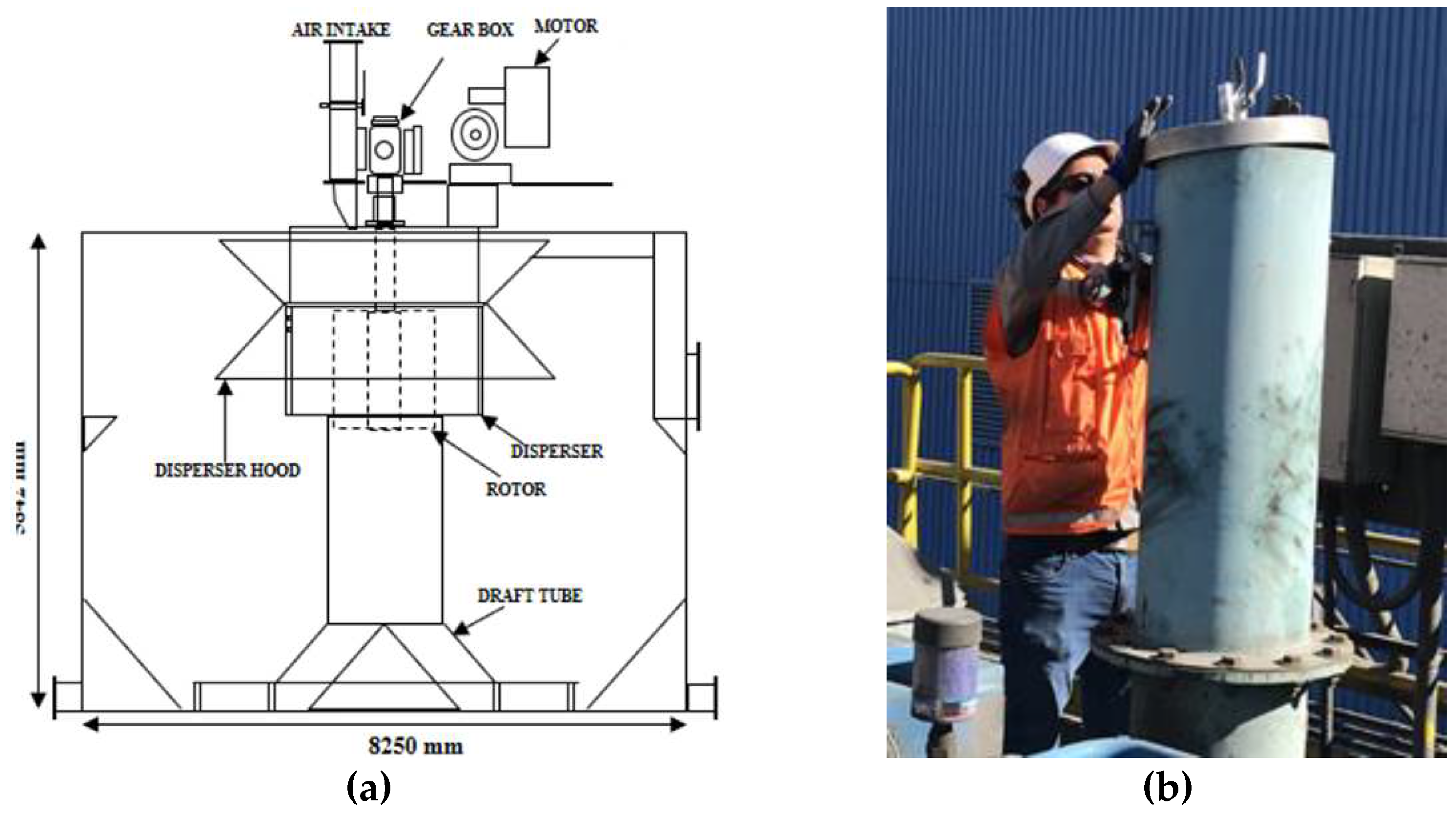 Preprints 86746 g002