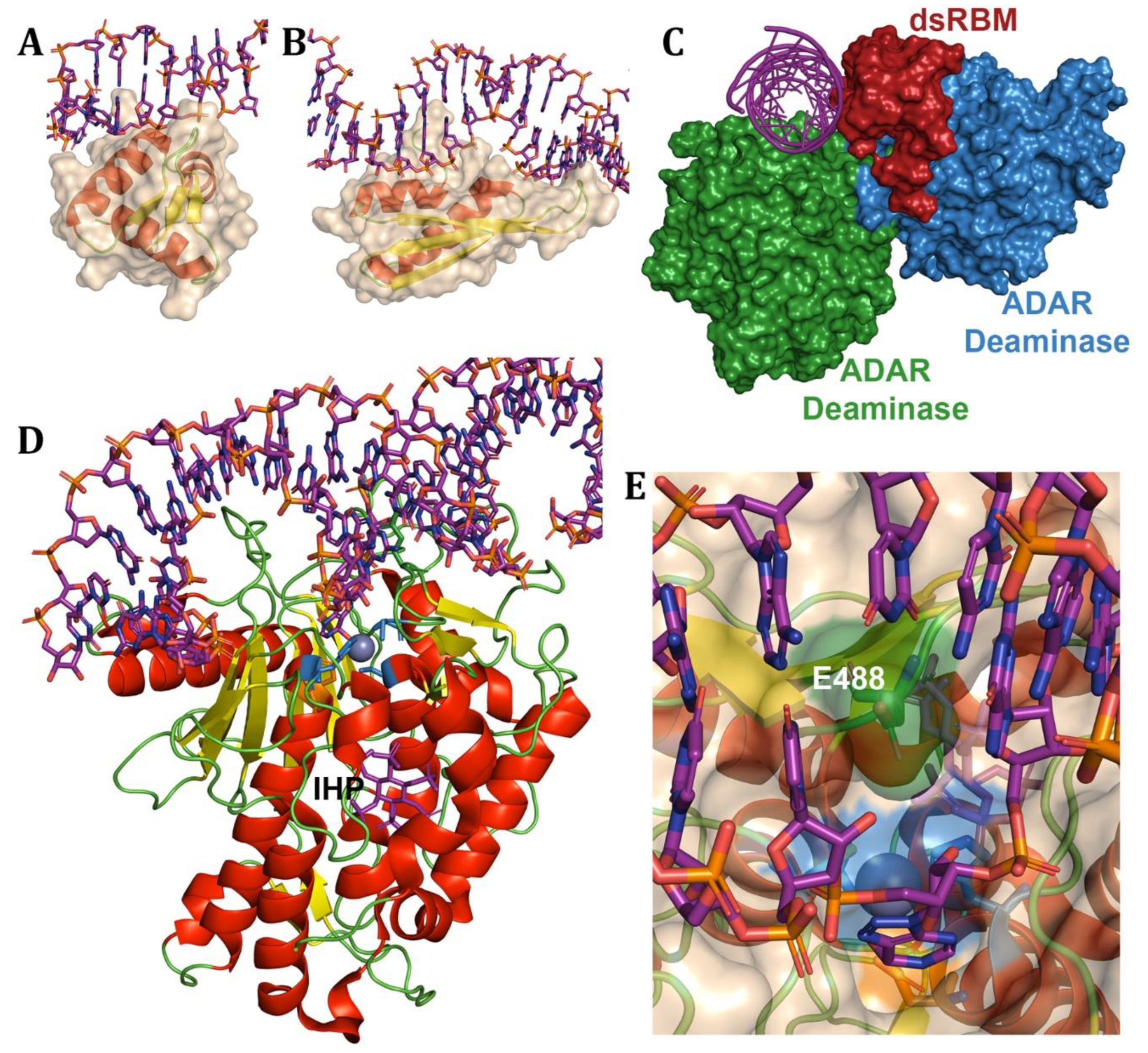 Preprints 178978 g009