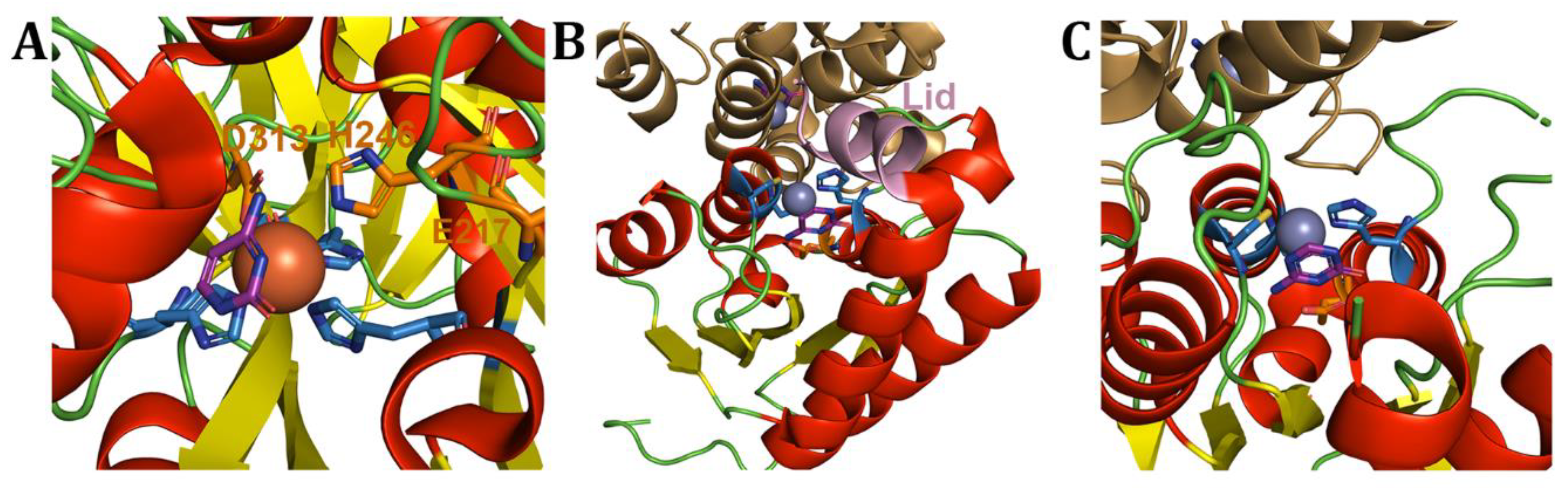Preprints 178978 g010