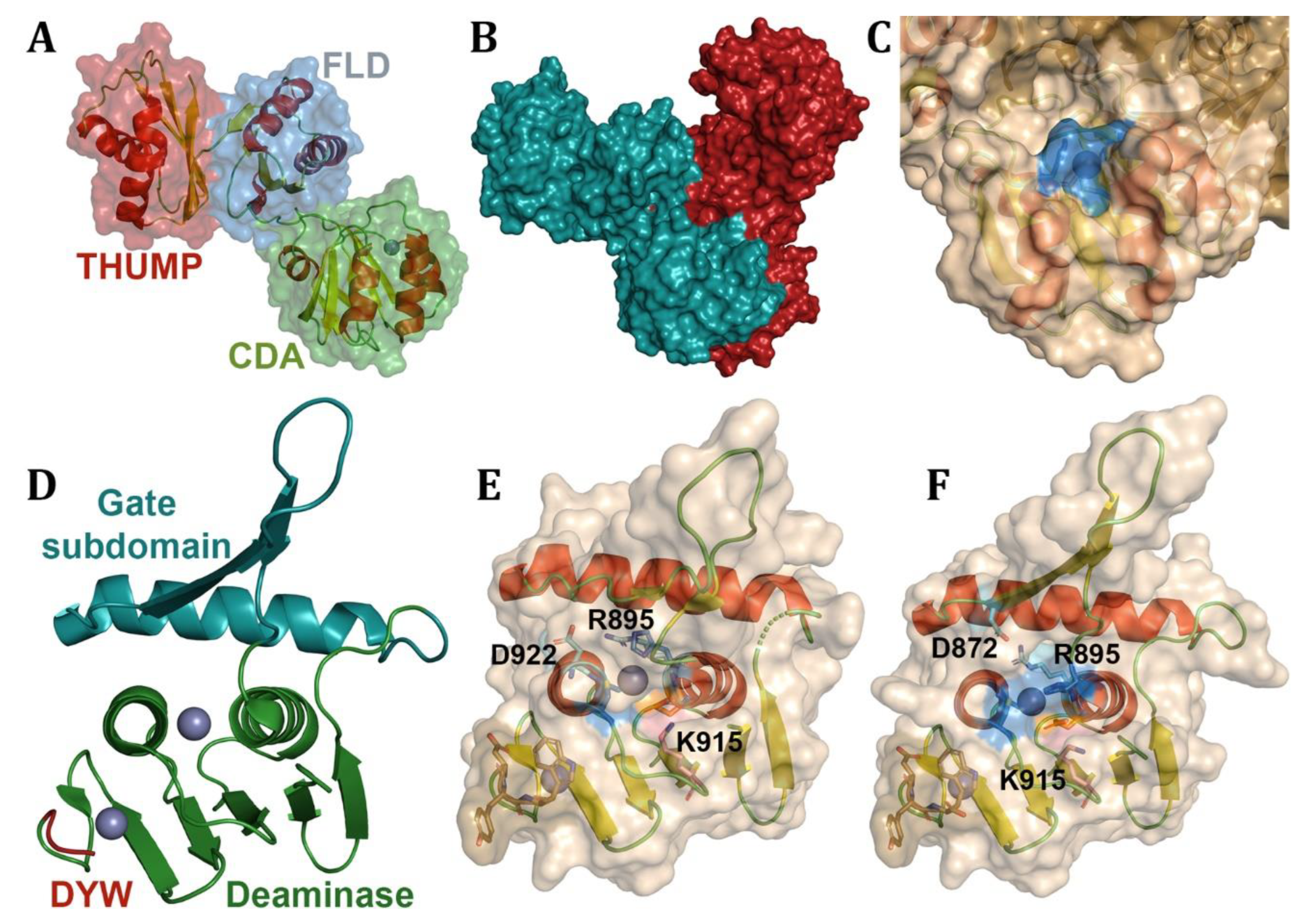 Preprints 178978 g014