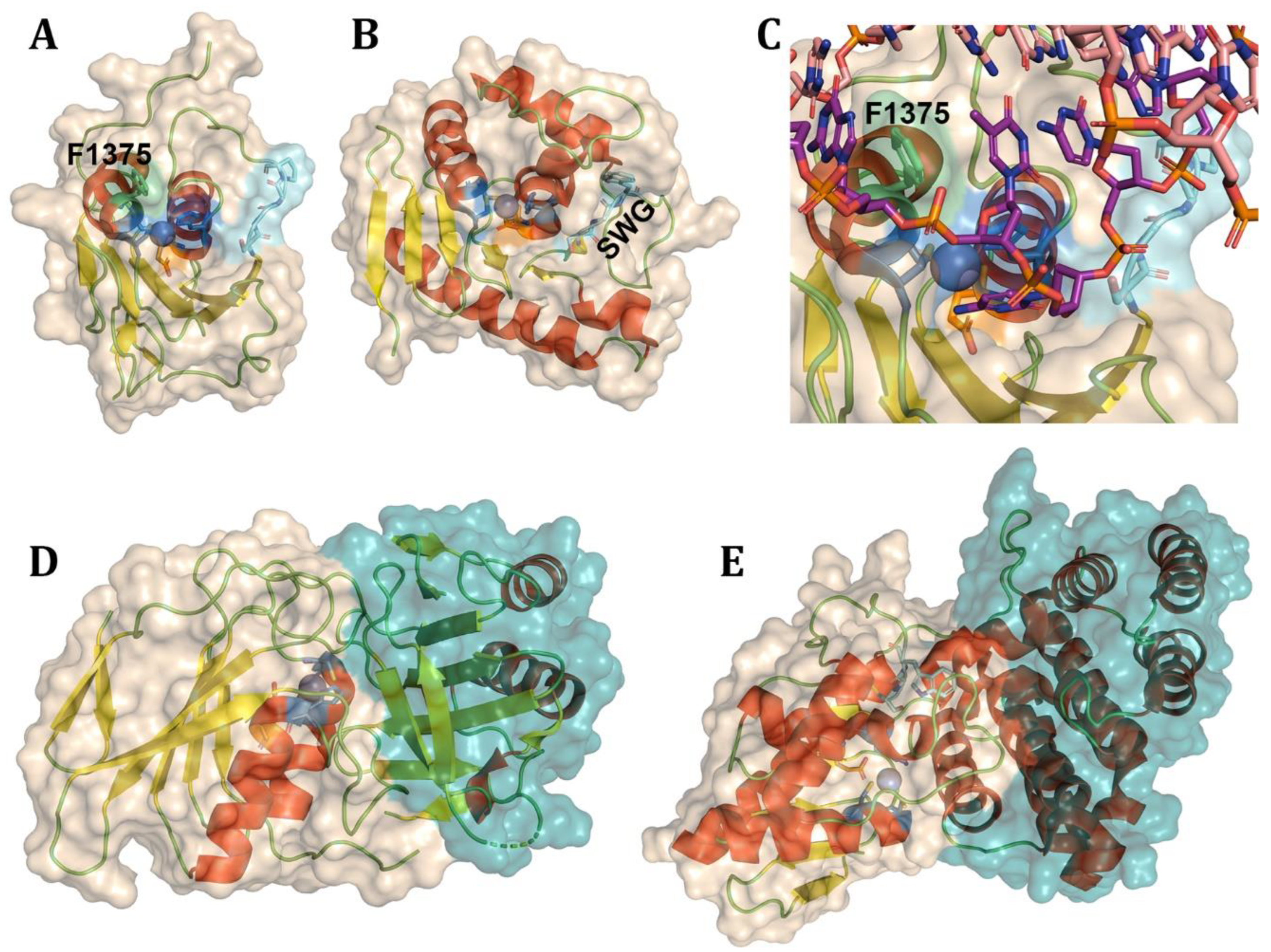 Preprints 178978 g015