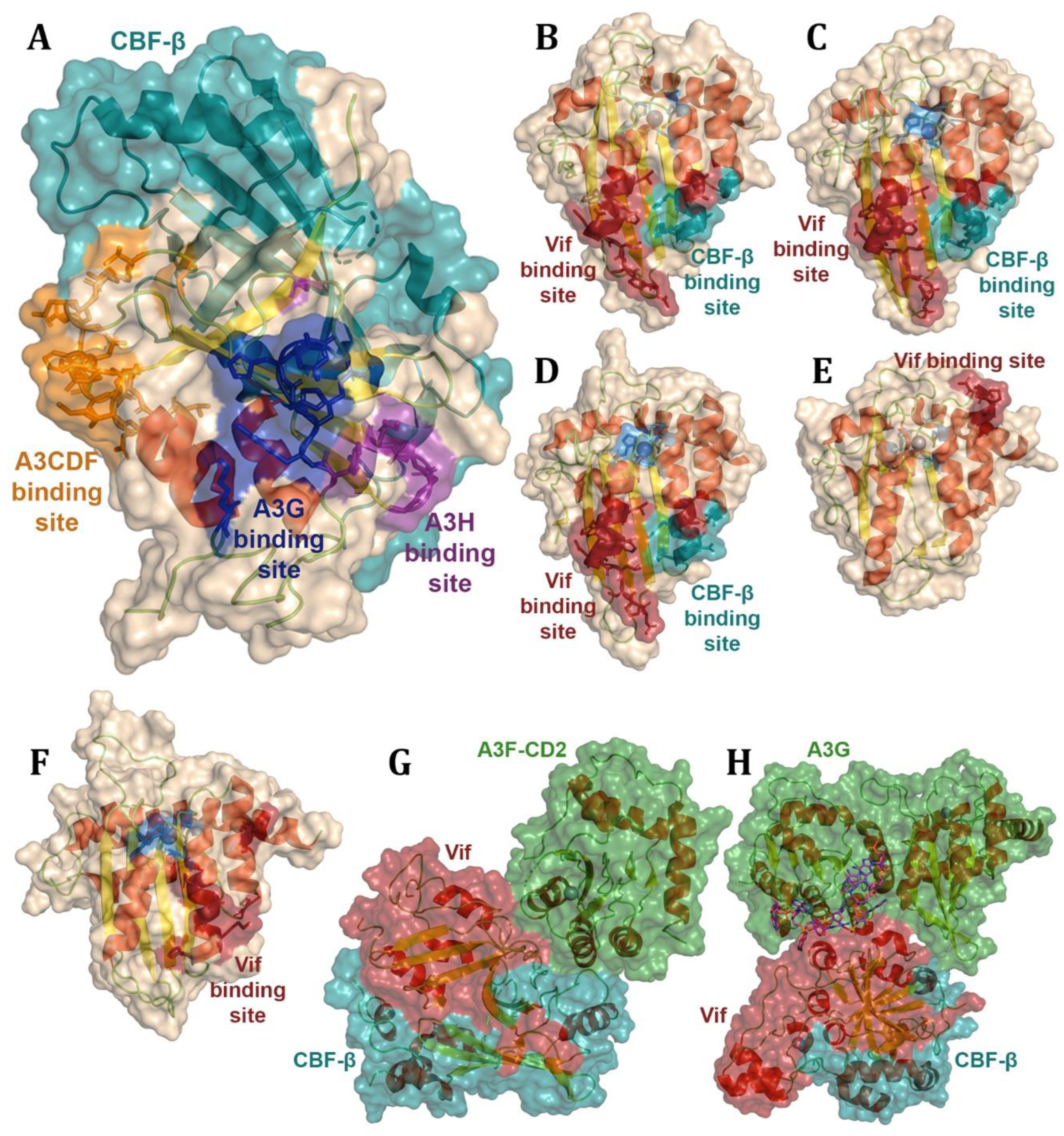 Preprints 178978 g017