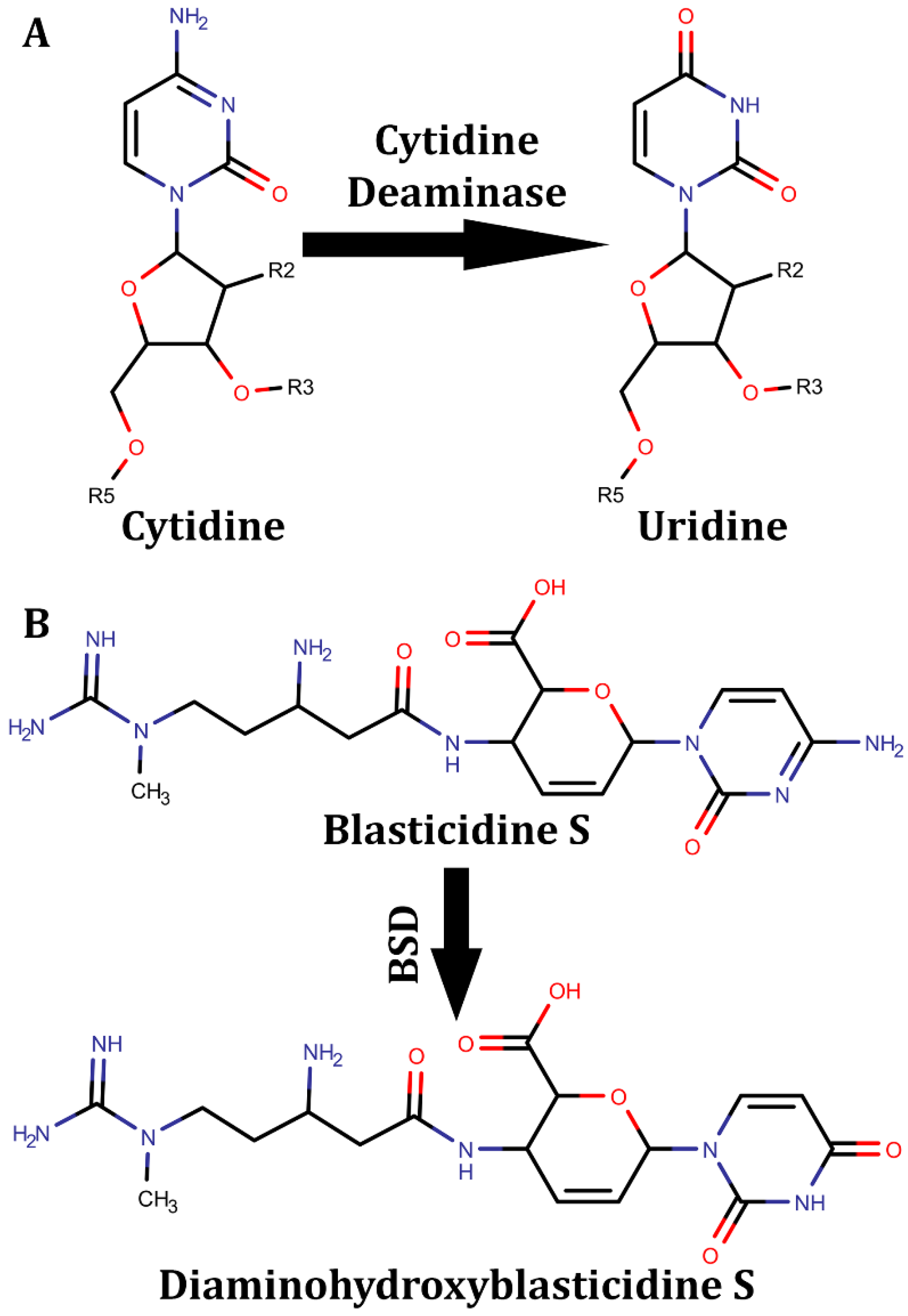 Preprints 178978 sch008