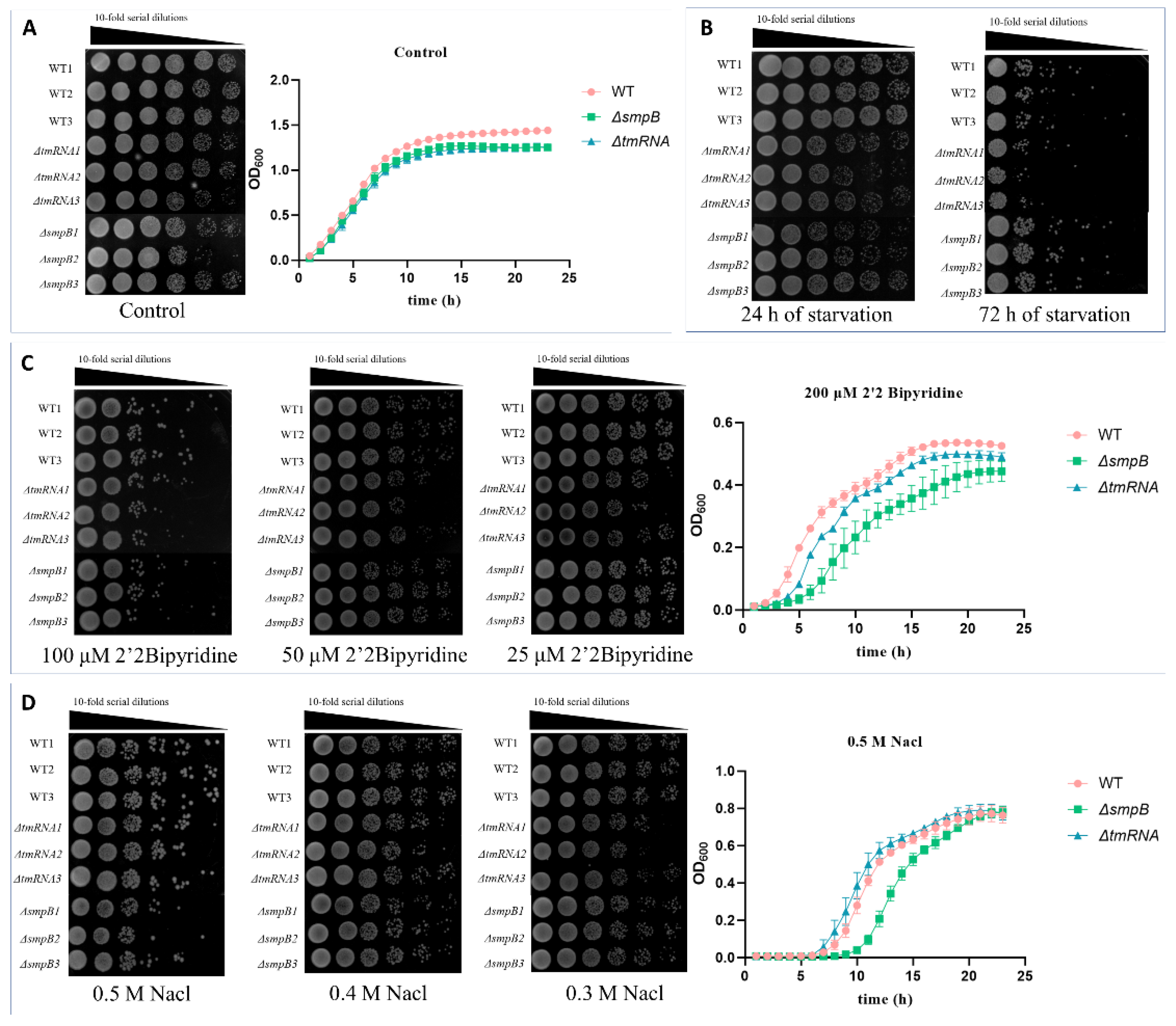 Preprints 142156 g002