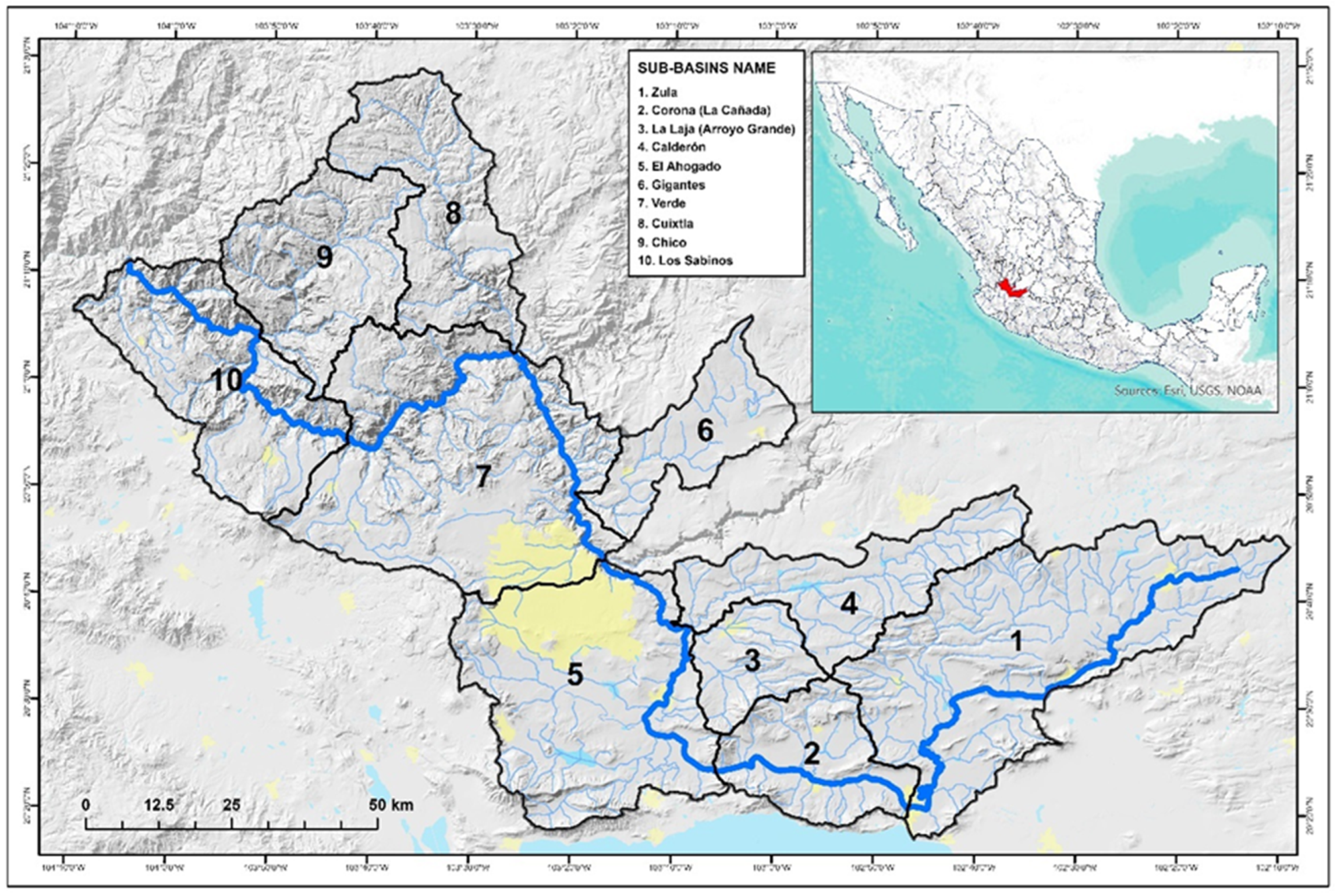 Preprints 145369 g001