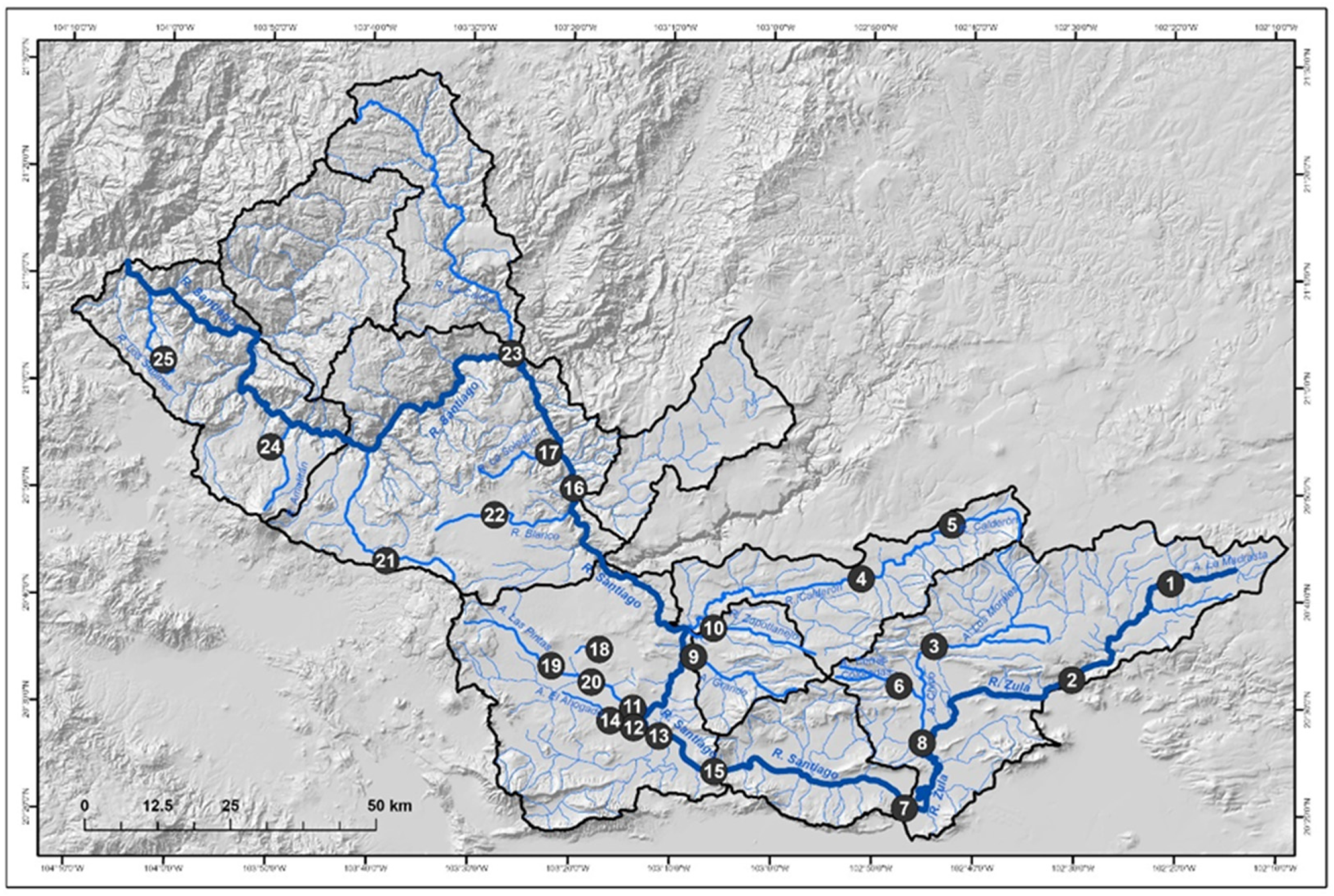 Preprints 145369 g004