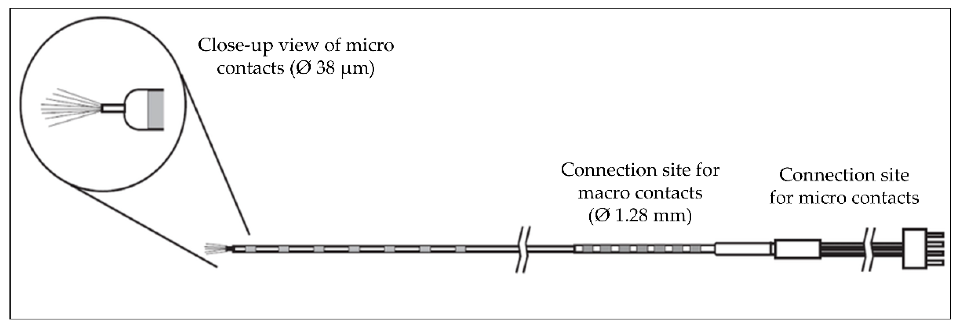 Preprints 156009 g001