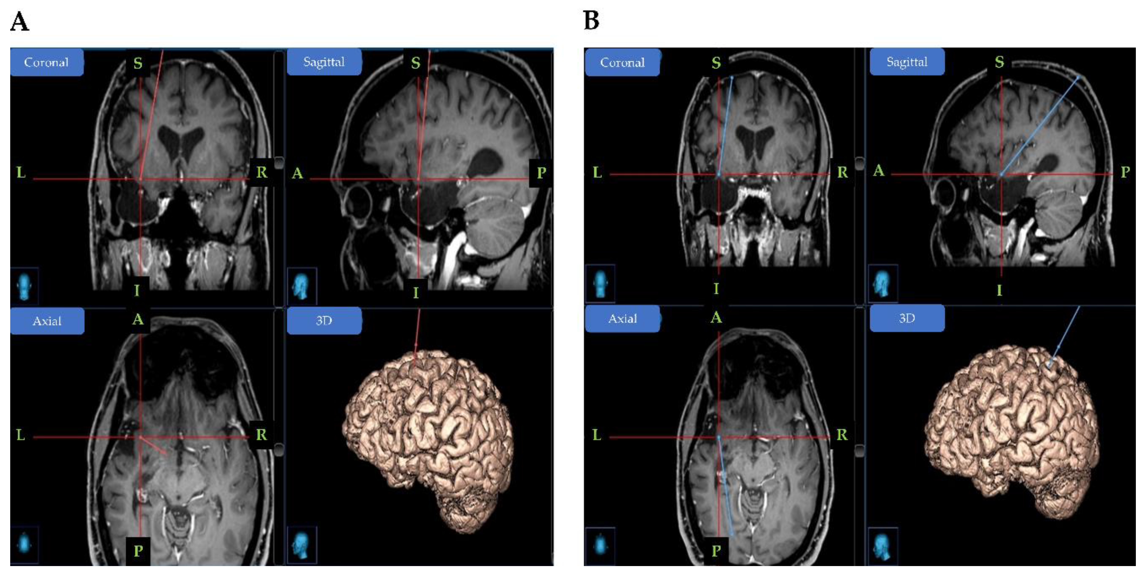 Preprints 156009 g002