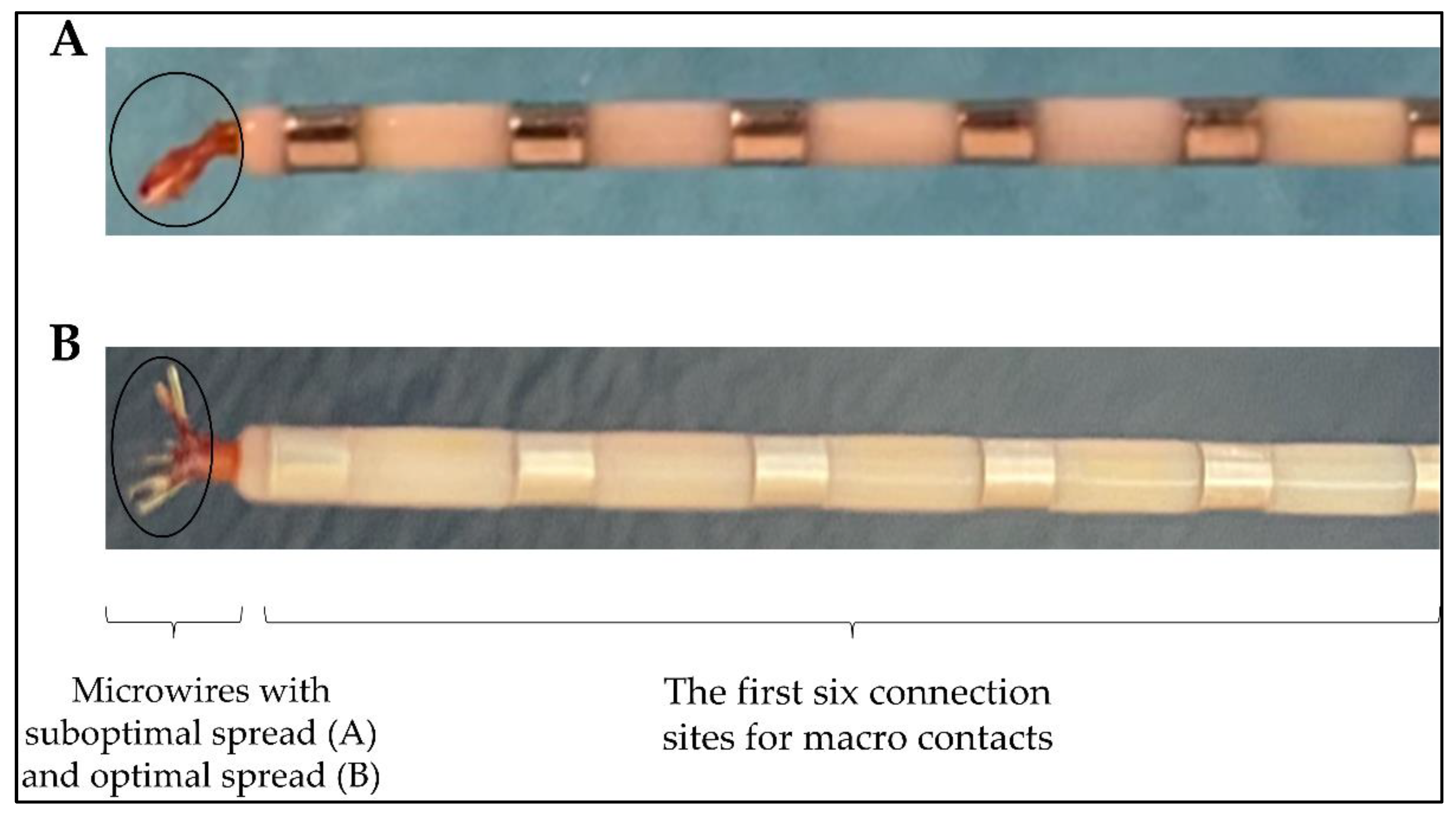Preprints 156009 g006